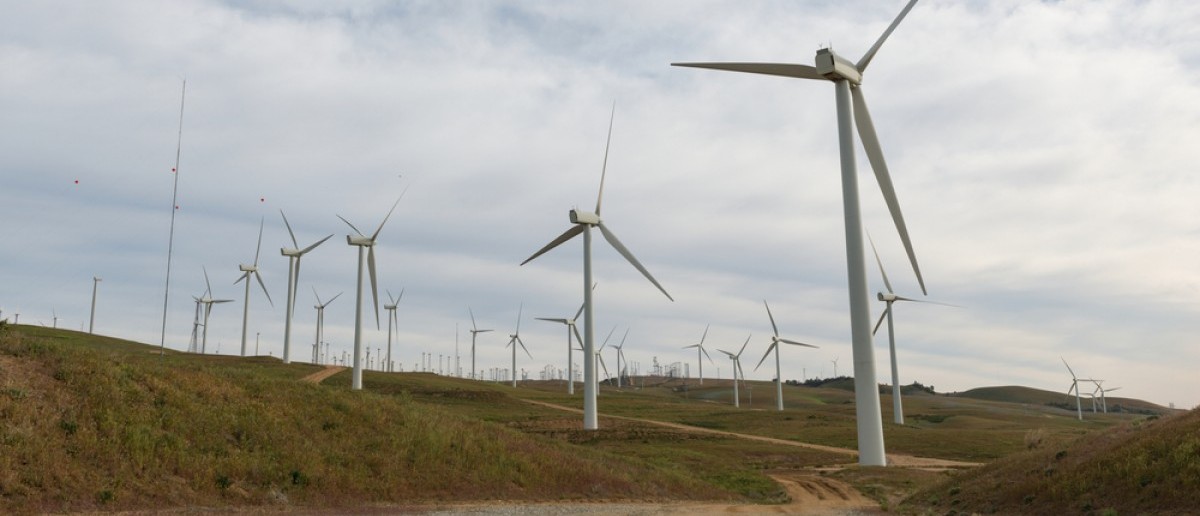 Wind turbines producing green energy, Tehachapi, California (Hank Shiffman/Shuttershock)