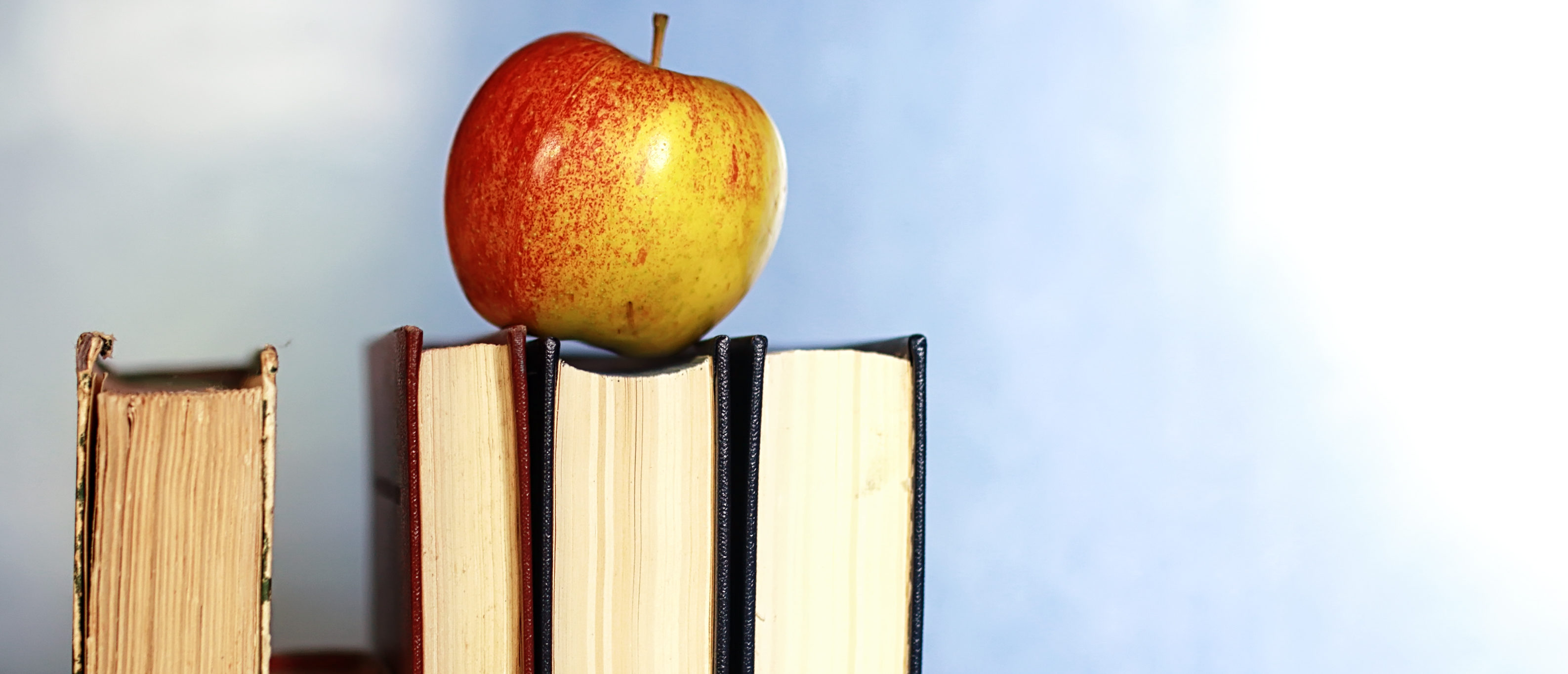 An apple on stacked books. (Shutterstock)