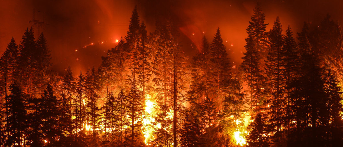 Eagle Creek Wildfire in Columbia River Gorge, Oregon -- ShutterStock - Christian Roberts-Olsen | Teen Ordered To Pay $37 Million For Fire
