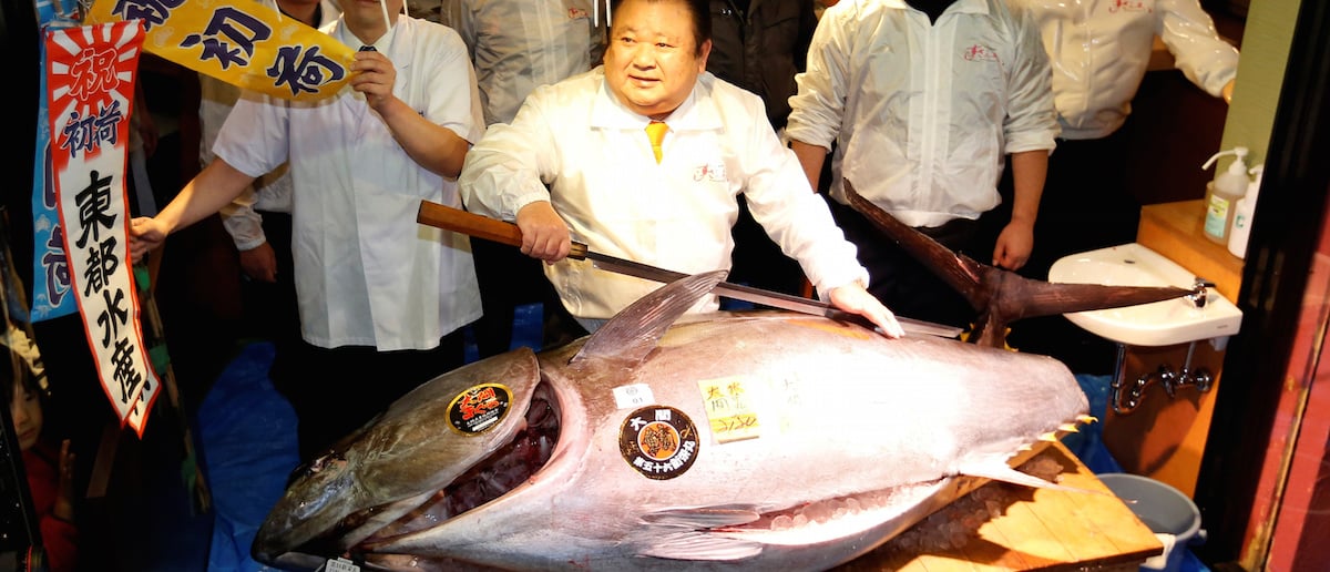 This Is What A 632,000 Tuna Fish Looks Like [VIDEO] The Daily Caller