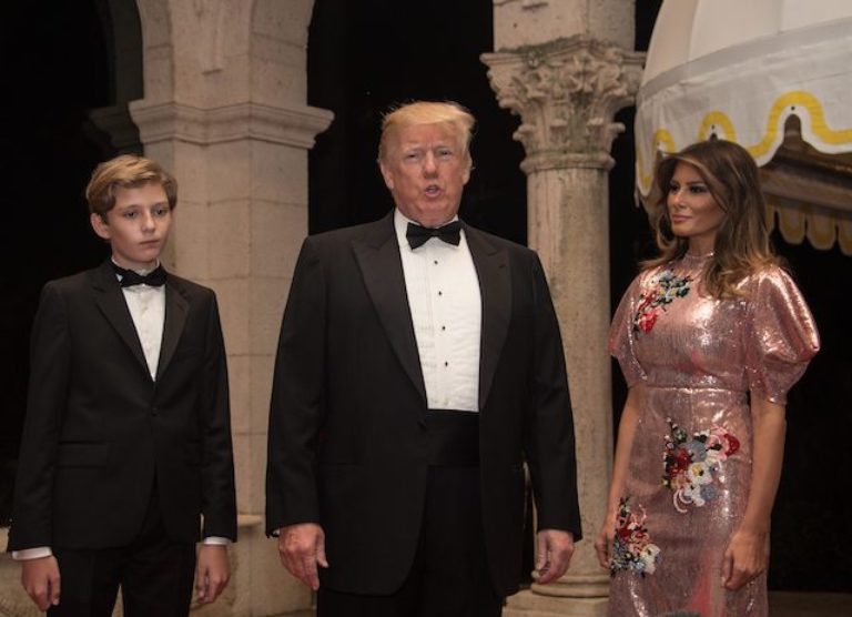 PHOTOS: Melania Rings In 2018 In Pink Metallic Dress | The Daily Caller