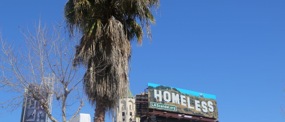 A sign promoting a website which highlights homeless issues is seen next to a palm tree in Los Angeles, California, U.S. March 4, 2018. Picture taken March 4, 2018. REUTERS/Chris Helgren |  LA Wants People To House Homeless People