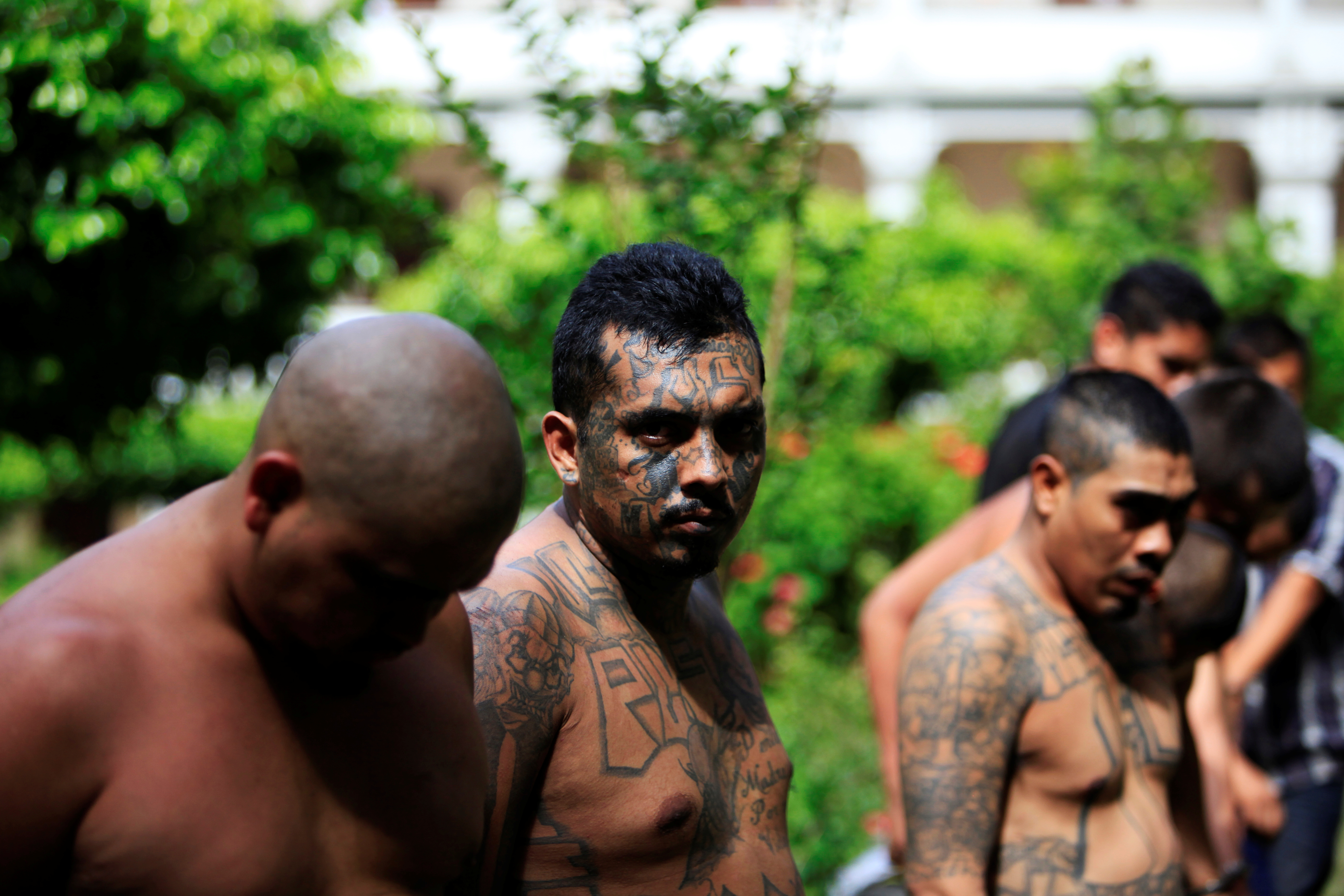 More Than 20 MS-13 Gang Members Arrested In California | The Daily Caller