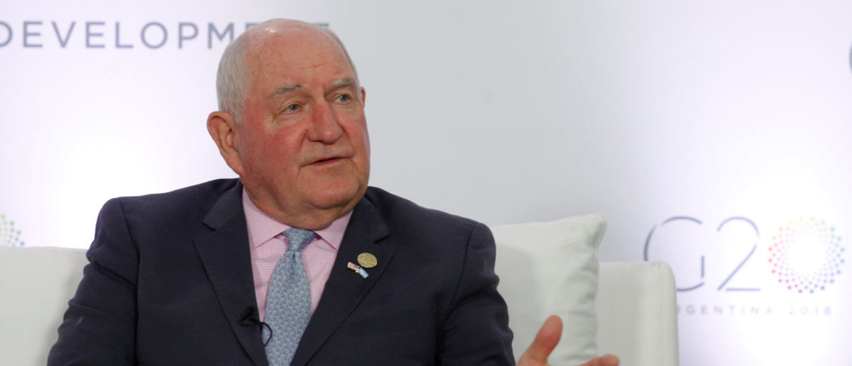 U.S. Agriculture Secretary Sonny Perdue speaks at an interview with Reuters during the G20 Meeting of Agriculture Ministers in Buenos Aires