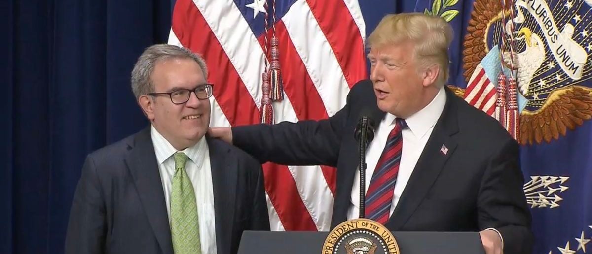 Andrew Wheeler stand next to Donald Trump at the