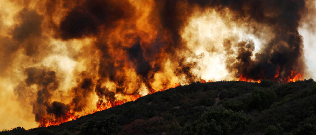 Border Patrol Agents Gender Reveal Party Started Massive 47000 Acre Wildfire The Daily Caller