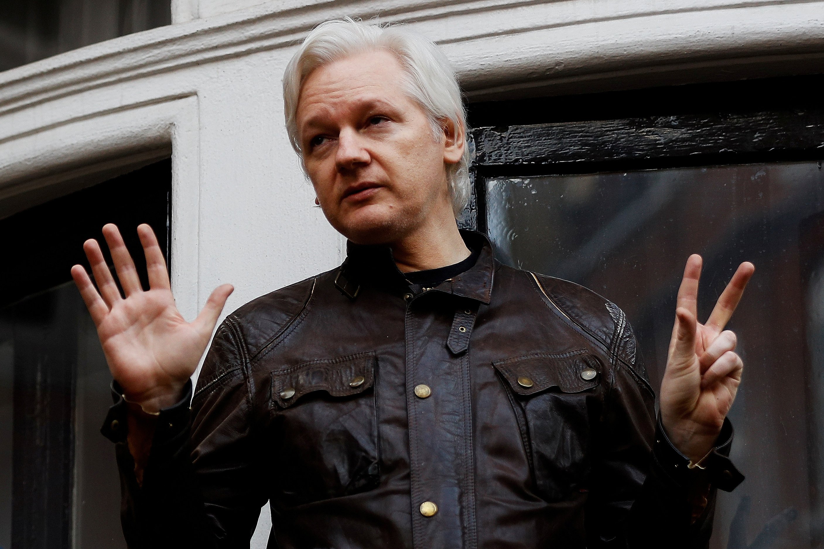 Ecuador Orders Julian Assange To Babysit Cat And Clean The 