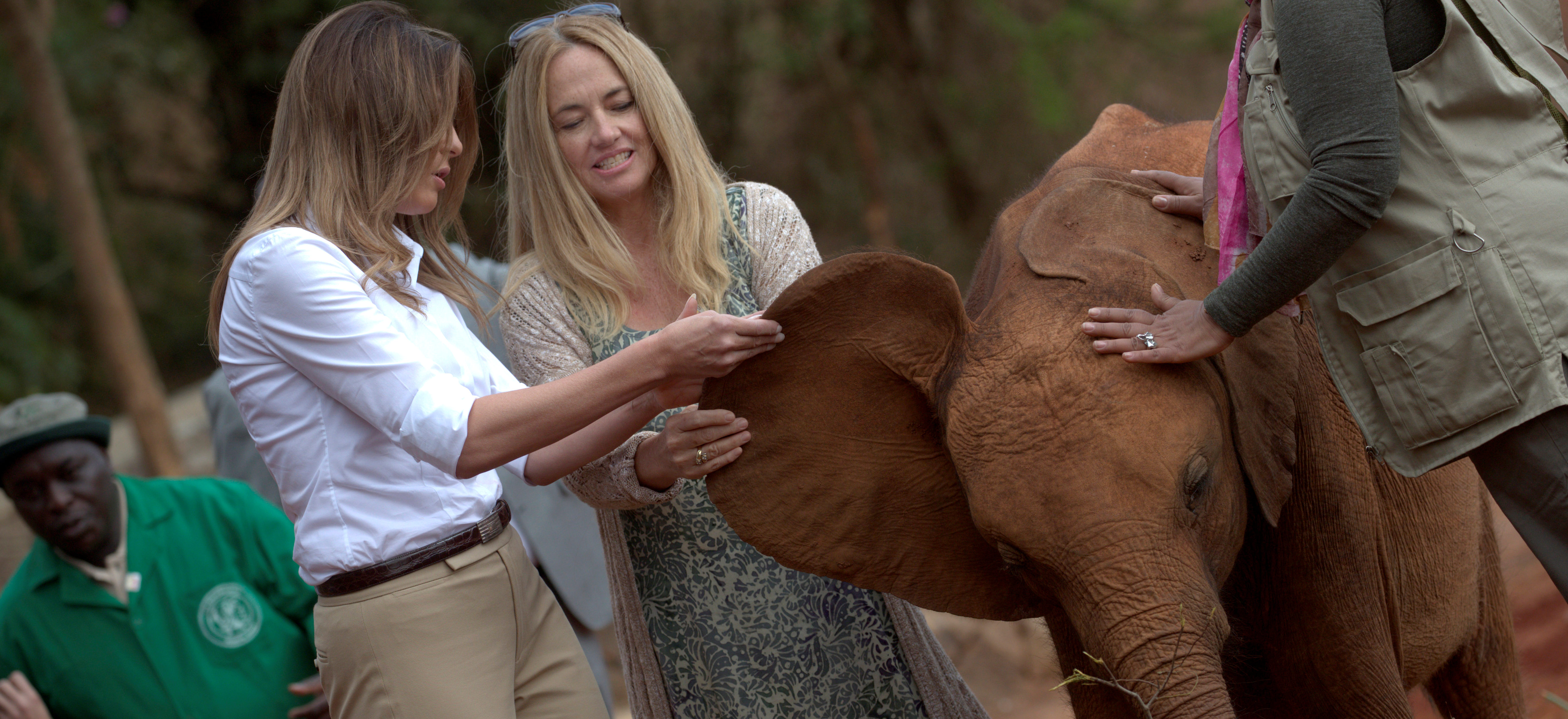 U.S. first lady Melania Trump, accompanied by CEO Angela Sheldrick, looks at the ear of a baby elephant, at the David Sheldrick Wildlife Trust elephant orphanage in Nairobi