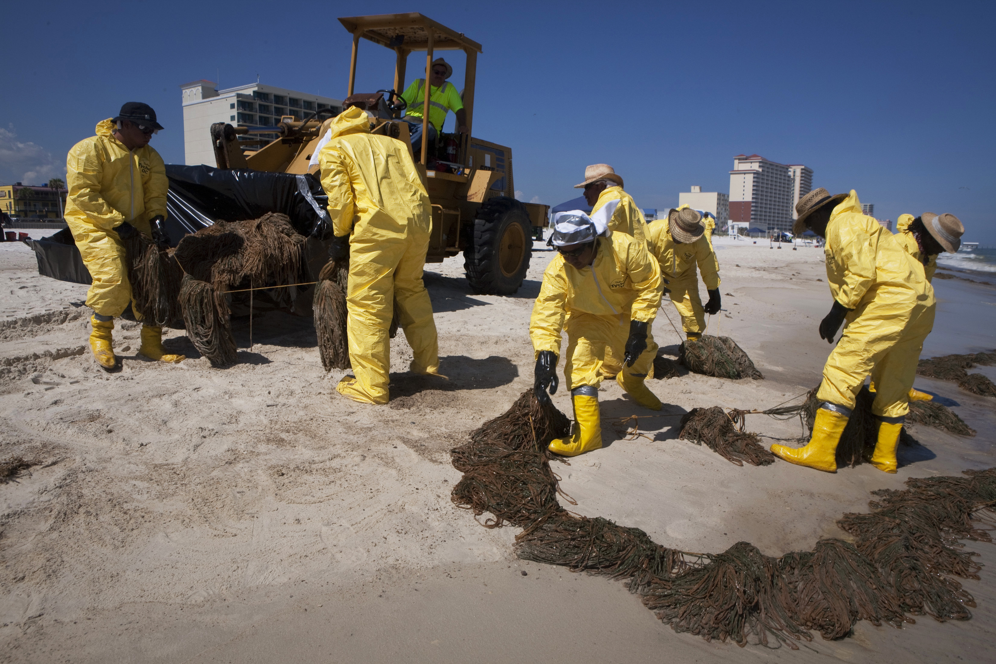 A clean-up crew collects booms soaked with oil from the Deepwater Horizon spill on a beach in Gulf Shores, Alabama, in this June 25, 2010 file photo. Clean-up workers say they're paid about $1000 per week after taxes, while boat operators can make over $1200, a lucrative, albeit short-term proposition. REUTERS/Lee Celano