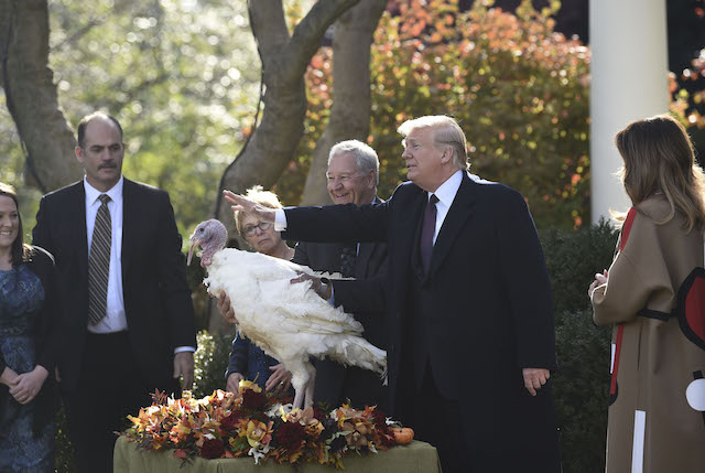 US President Donald Trump pardons the turkey "Peas" during the annual ceremony at the White House in Washington, DC, on November 20, 2018 as US First Lady Melania Trump(R) looks on. (Photo credit: BRENDAN SMIALOWSKI/AFP/Getty Images)