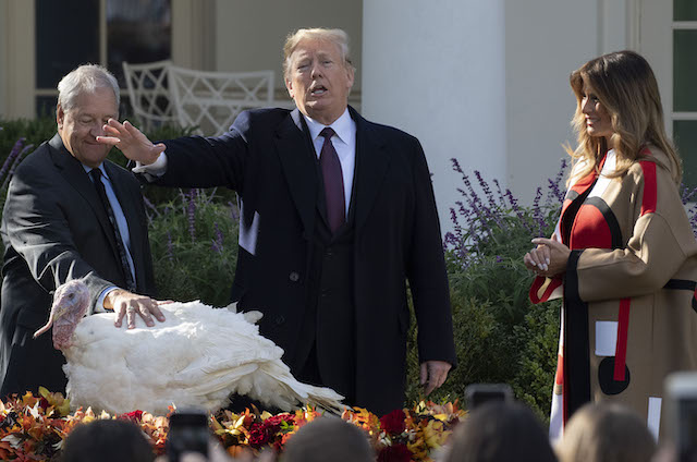 US President Donald Trump pardons the turkey "Peas" during the annual ceremony at the White House in Washington, DC, on November 20, 2018 as US First Lady Melania Trump looks on. (Photo credit: JIM WATSON/AFP/Getty Images)
