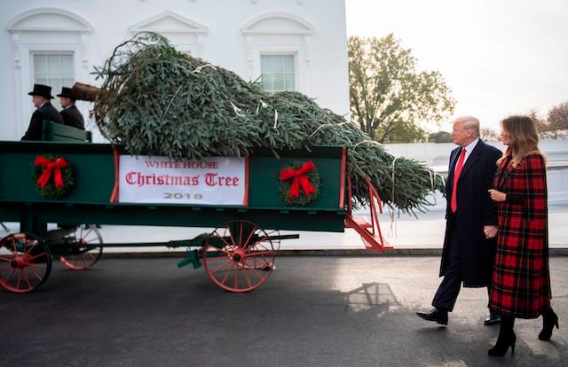 US President Donald Trump and First Lady Melania Trump participate in the White House Christmas Tree delivery at the White House in Washington, DC, on November 19, 2018. (Photo credit: JIM WATSON/AFP/Getty Images)
