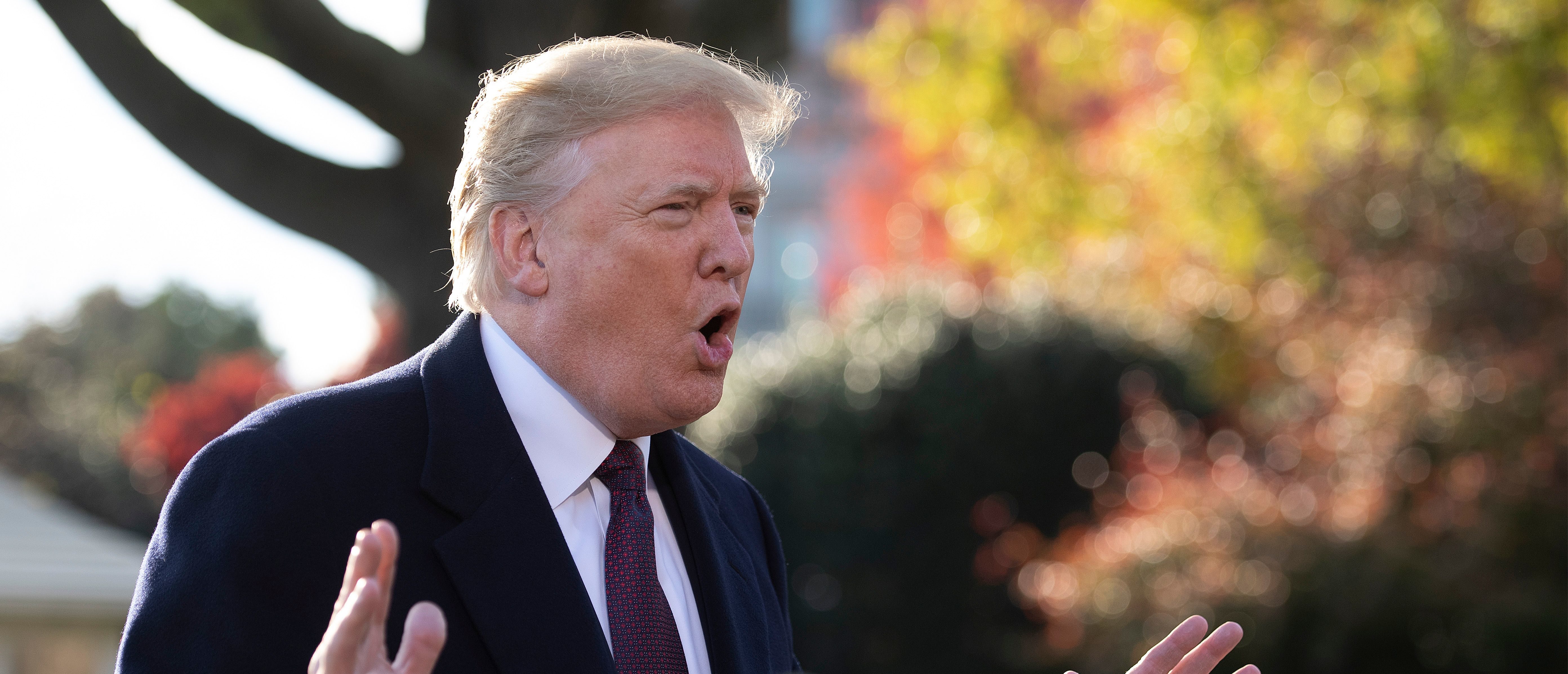 US President Donald Trump speaks to the press as he departs the White House in Washington, DC, on November 20, 2018 JIM WATSON/AFP/Getty Images)