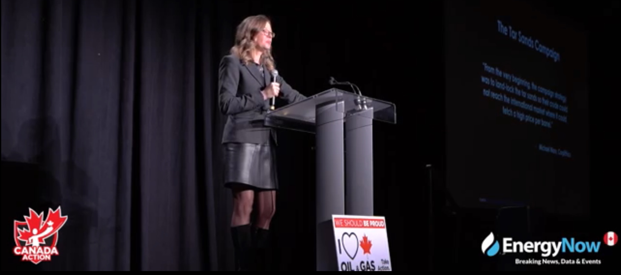 B.C. Researcher Vivian Krause speaks to the Indian Resource Council in Calgary on Jan. 16, 2019. YouTube screenshot.