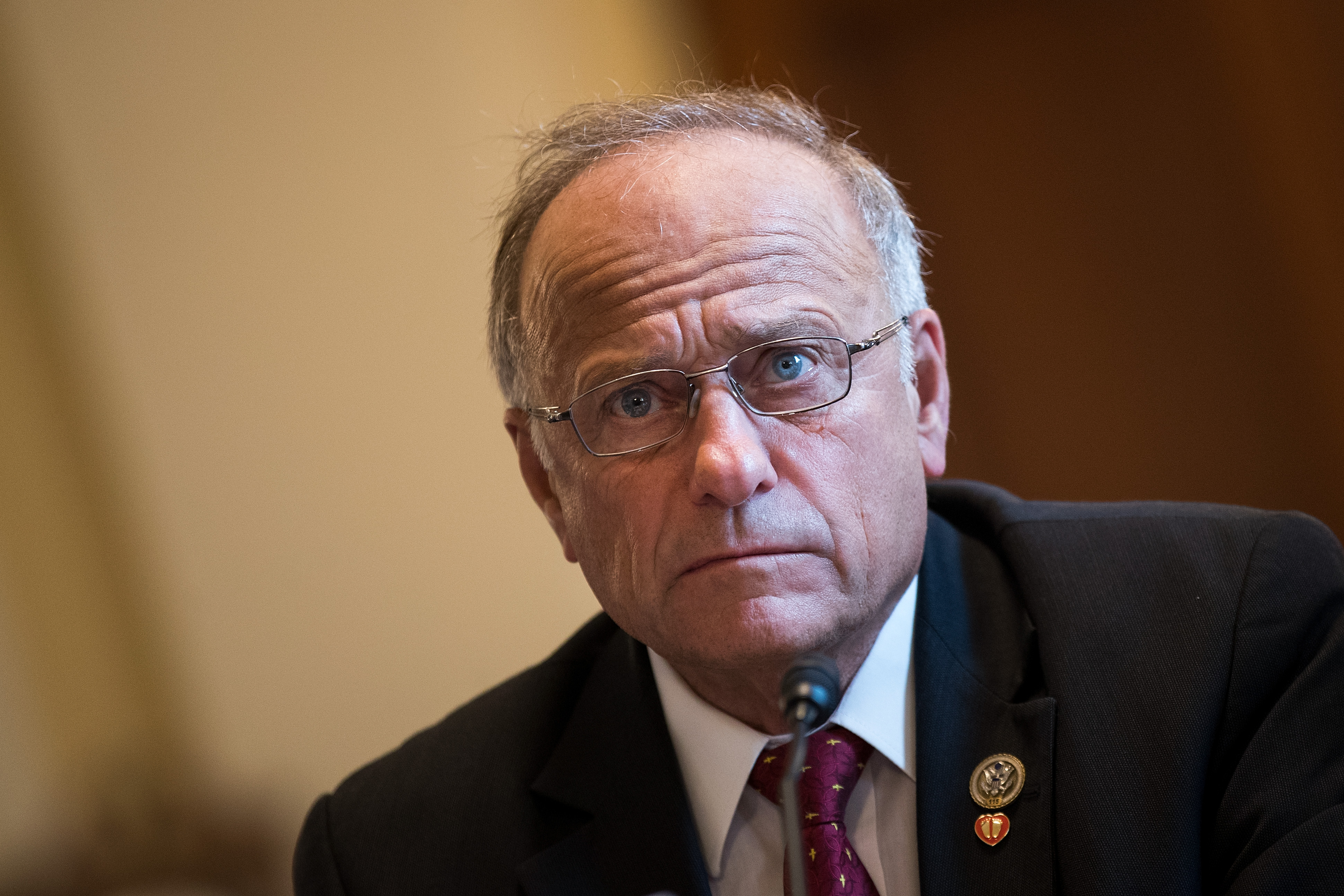 Rep. Steve King (R-IA) testifies during a House Veterans' Affairs Committee hearing, September 26, 2017 in Washington, DC. Drew Angerer/Getty Images