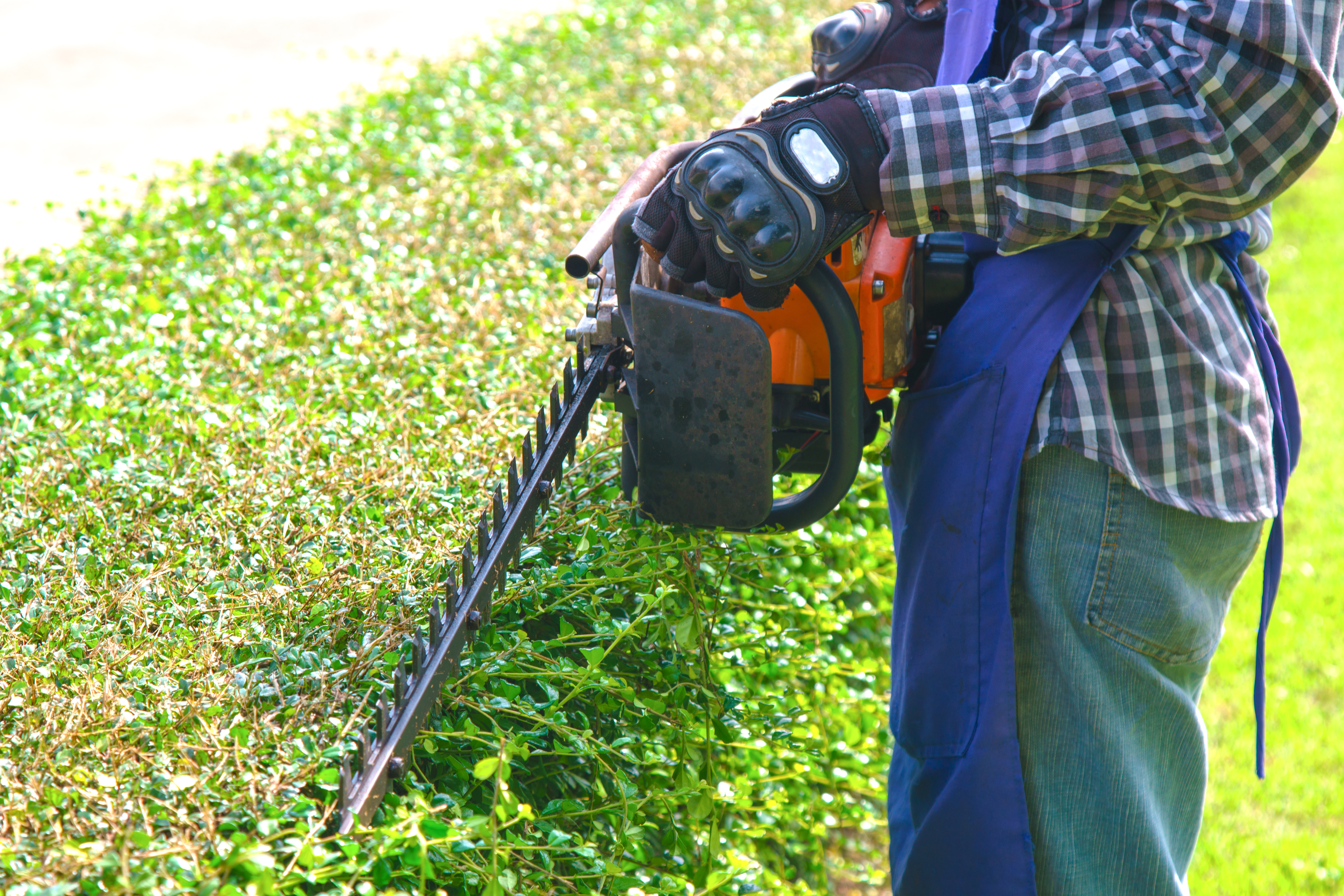 Pictured is a person working in the lawn. SHUTTERSTOCK/ sukanya sitthikongsak