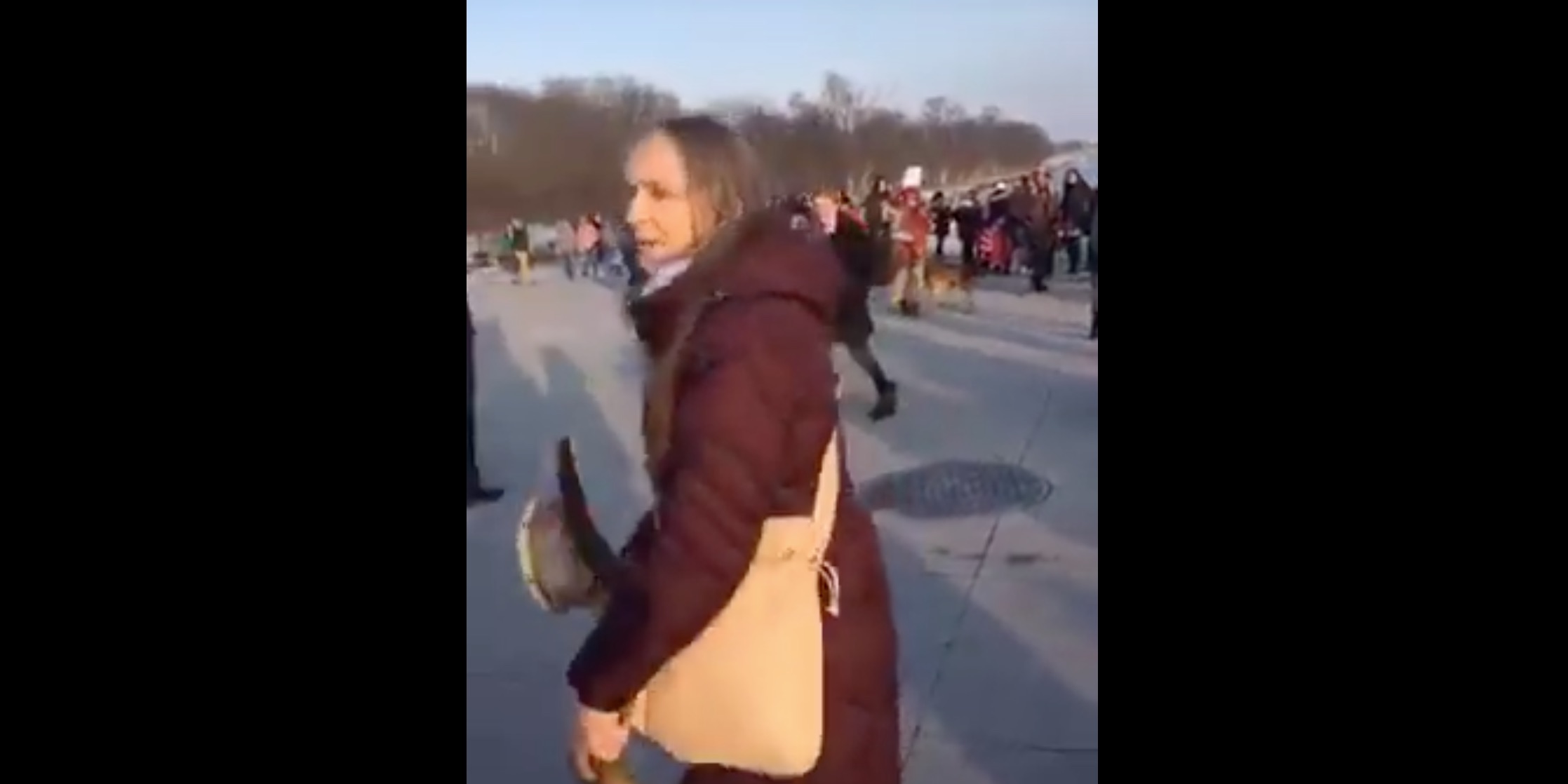 Native American woman joins Indigenous People's March in Washington/Screen Shot/YouTube