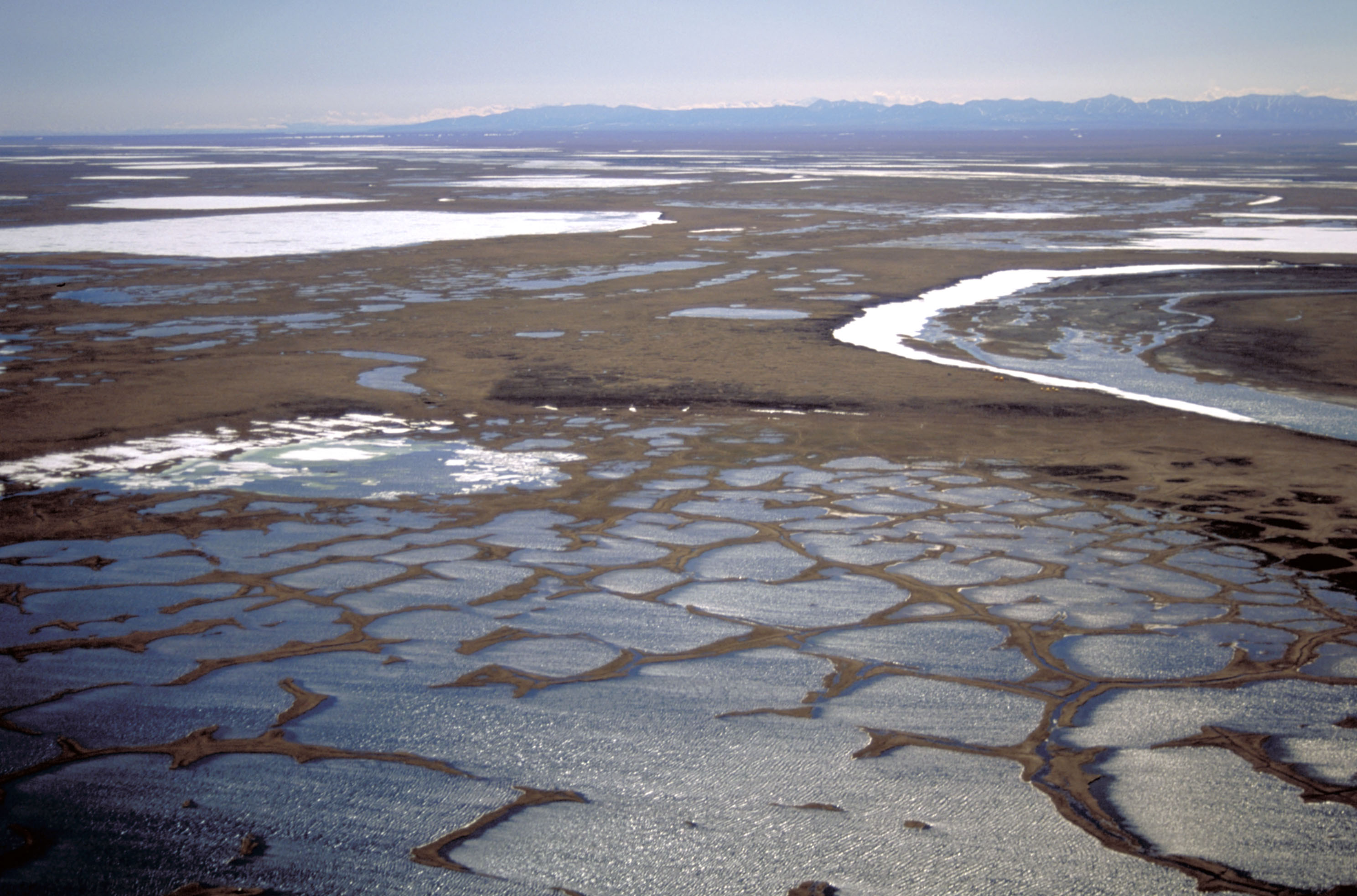 The coastal plain within the 1002 Area of the Arctic National Wildlife Refuge is seen in this undated handout photo provided by the U.S. Fish and Wildlife Service Alaska Image Library. REUTERS/HANDOUT/U.S. Fish and Wildlife Service