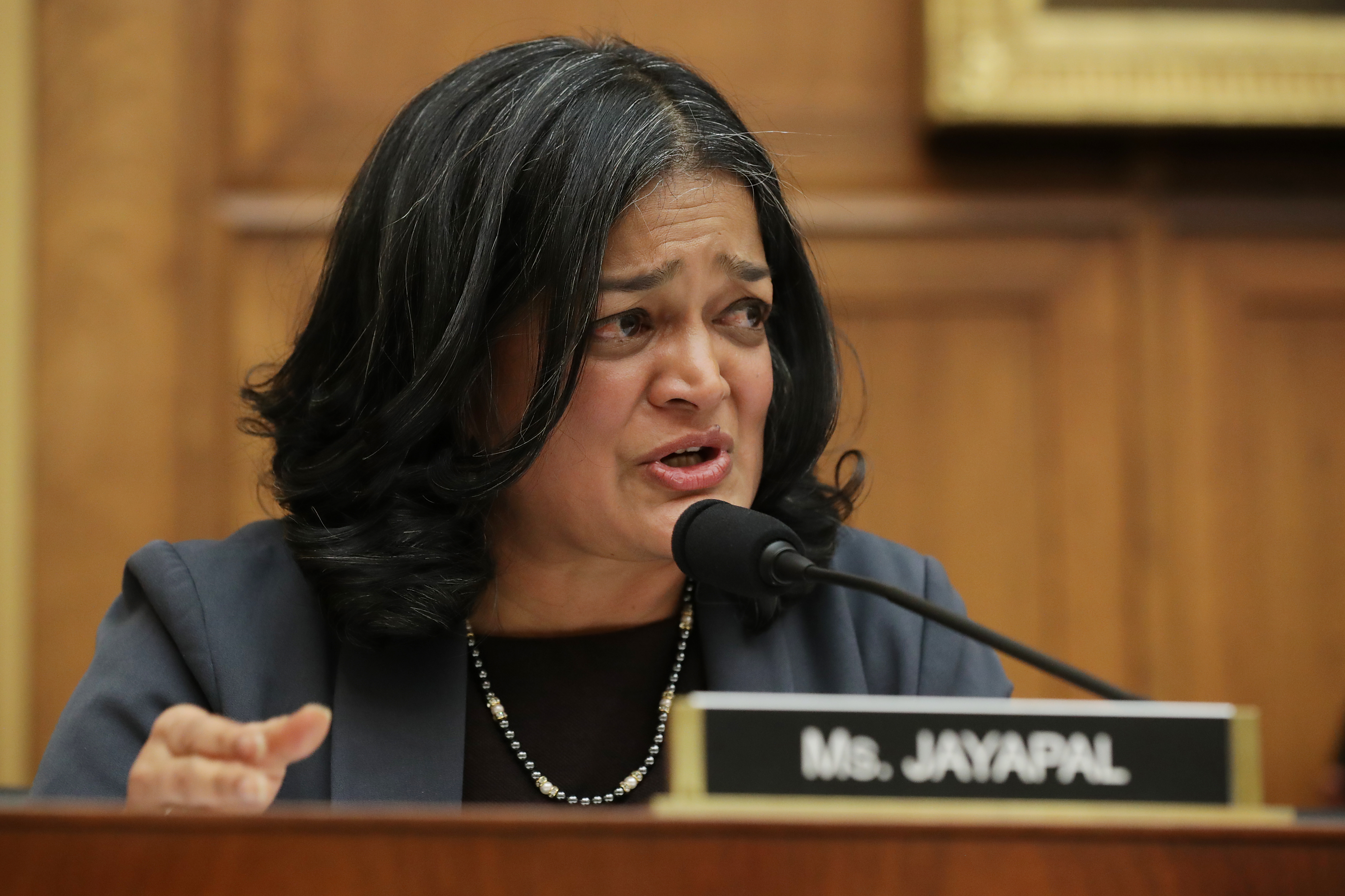 Rep. Pramila Jayapal questions witnesses during a hearing of the House Judiciary Committee's Antitrust, Commercial and Administrative Law Subcommittee in the Rayburn House Office Building on Capitol Hill March 12, 2019 in Washington, DC. (Photo by Chip Somodevilla/Getty Images)