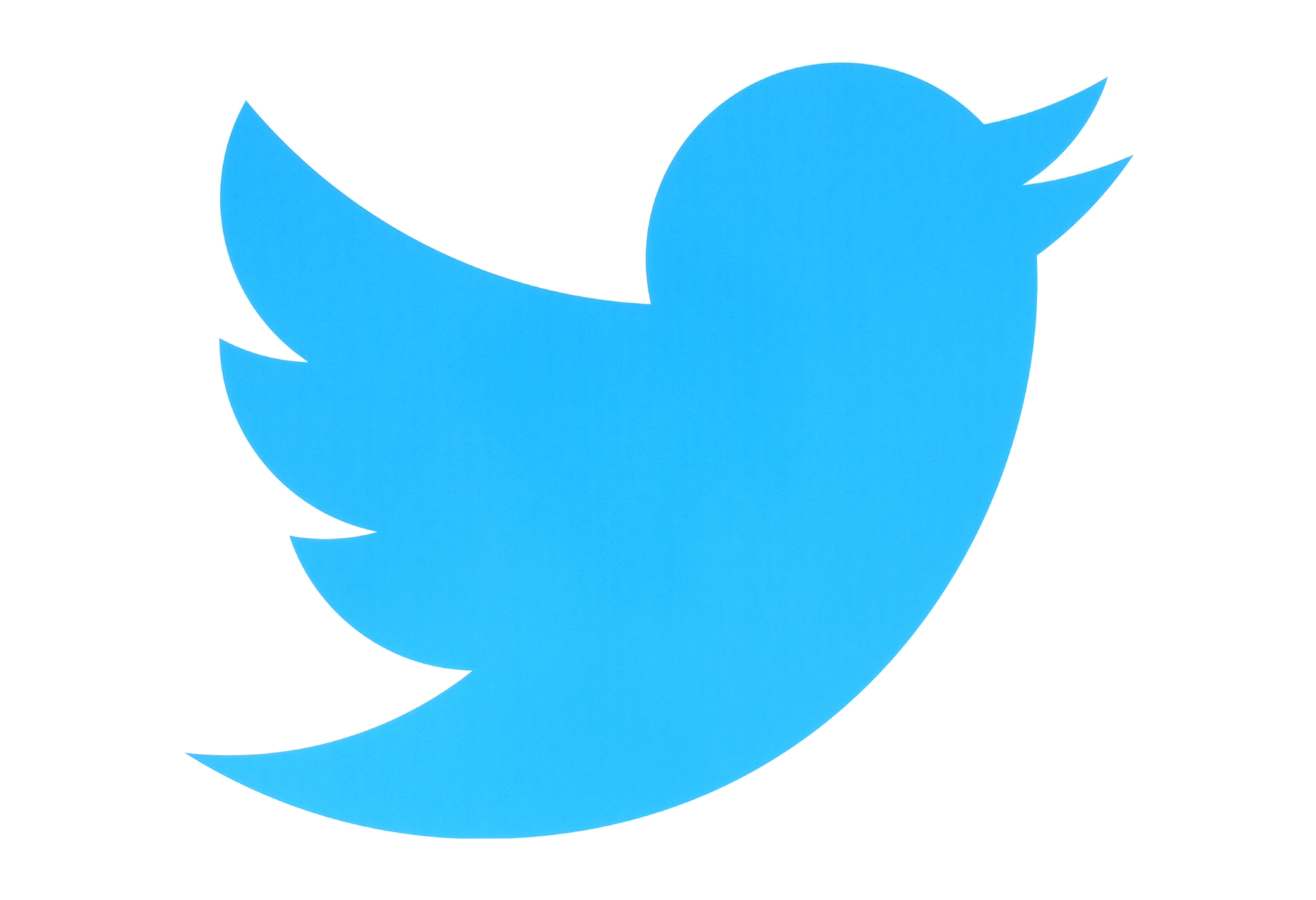 Twitter logo (Shutterstock/rvlsoft)