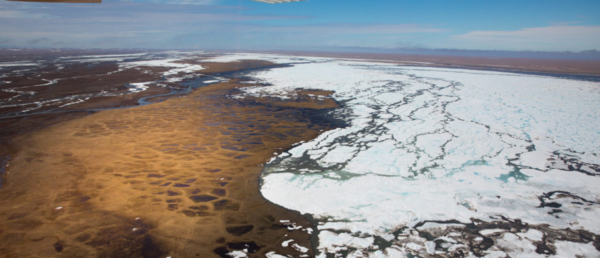 One Question Remains As The US Moves Closer To Drilling In ANWR: How ...