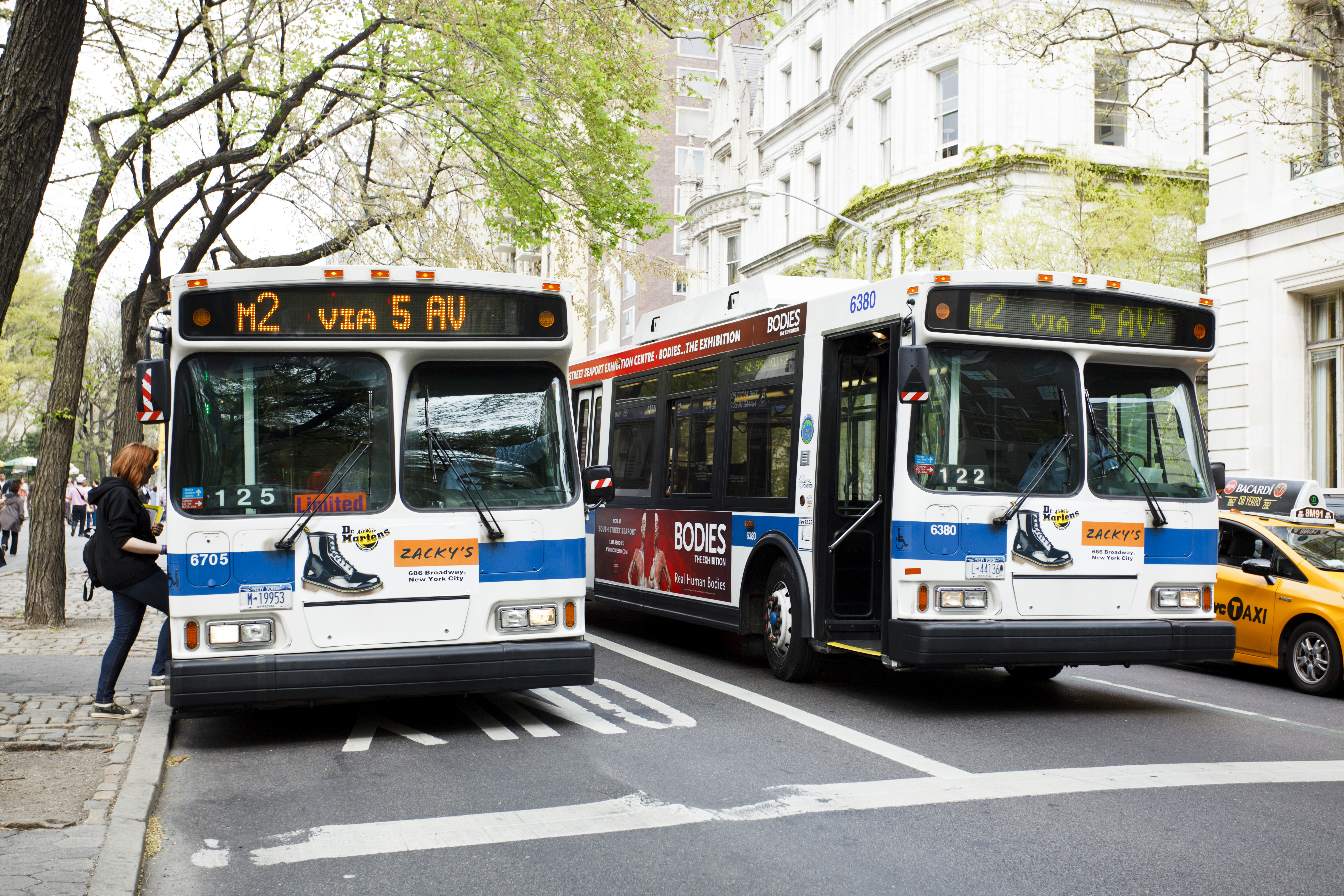 Pictured are buses. SHUTTERSTOCK/DW labs Incorporated