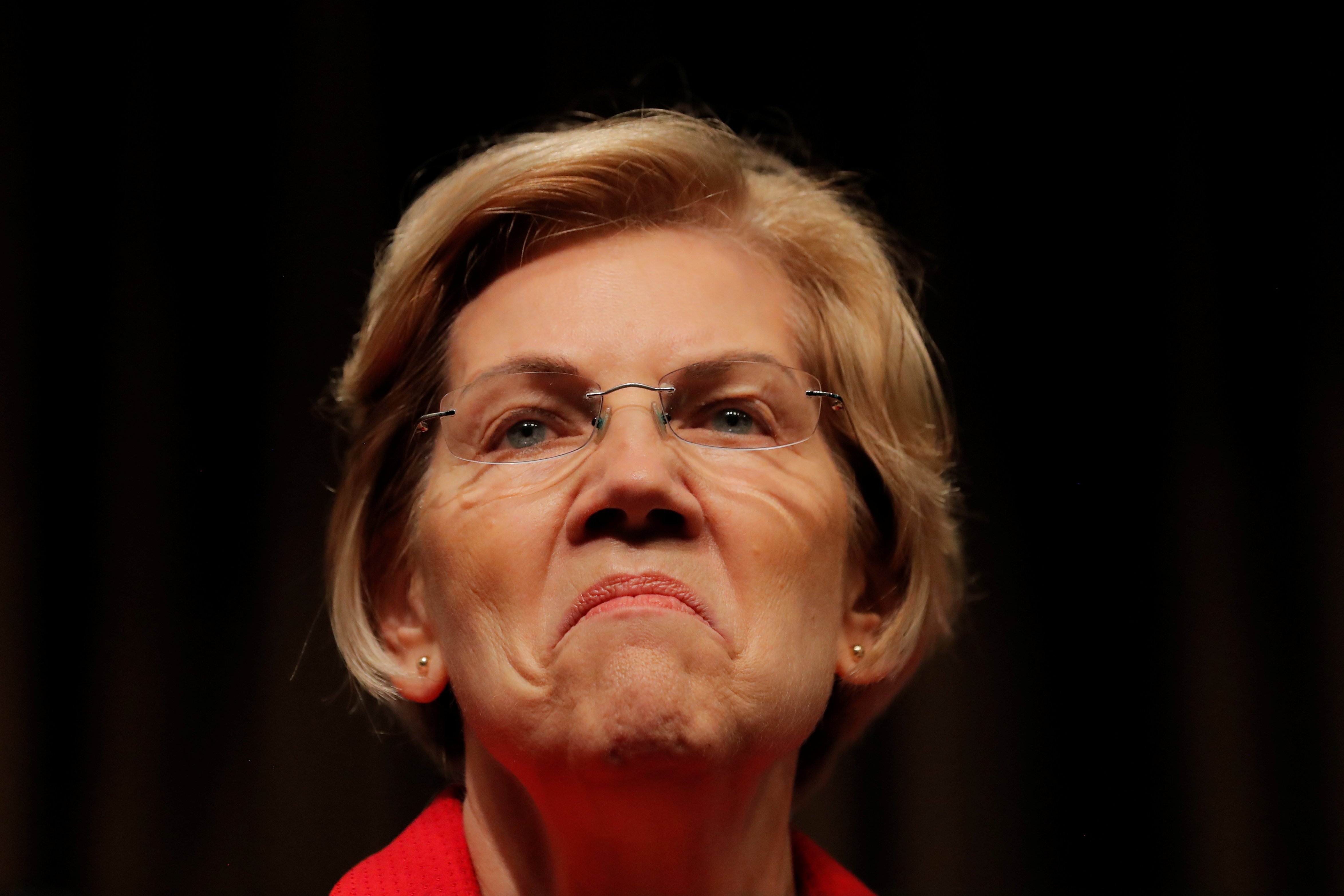 U.S. 2020 Democratic presidential candidate and U.S. Senator Elizabeth Warren (D-MA), speaks at the 2019 National Action Network National Convention in New York