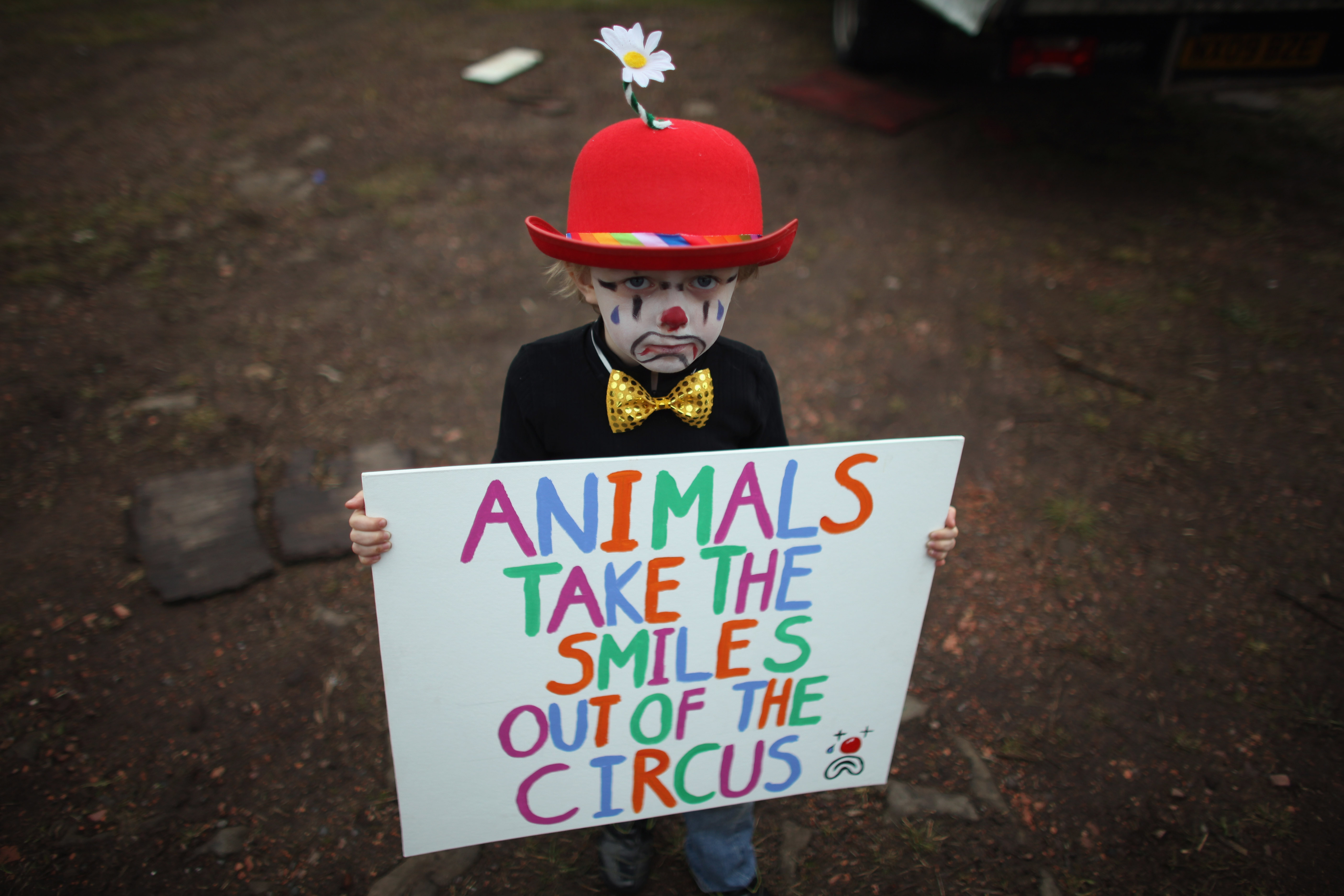 Four-year-old Gabriel Ryan takes part in a protest outside Bobby Roberts Circus on Knutsford Common on March 30, 2011 in Knutsford, England. (Photo by Christopher Furlong/Getty Images)