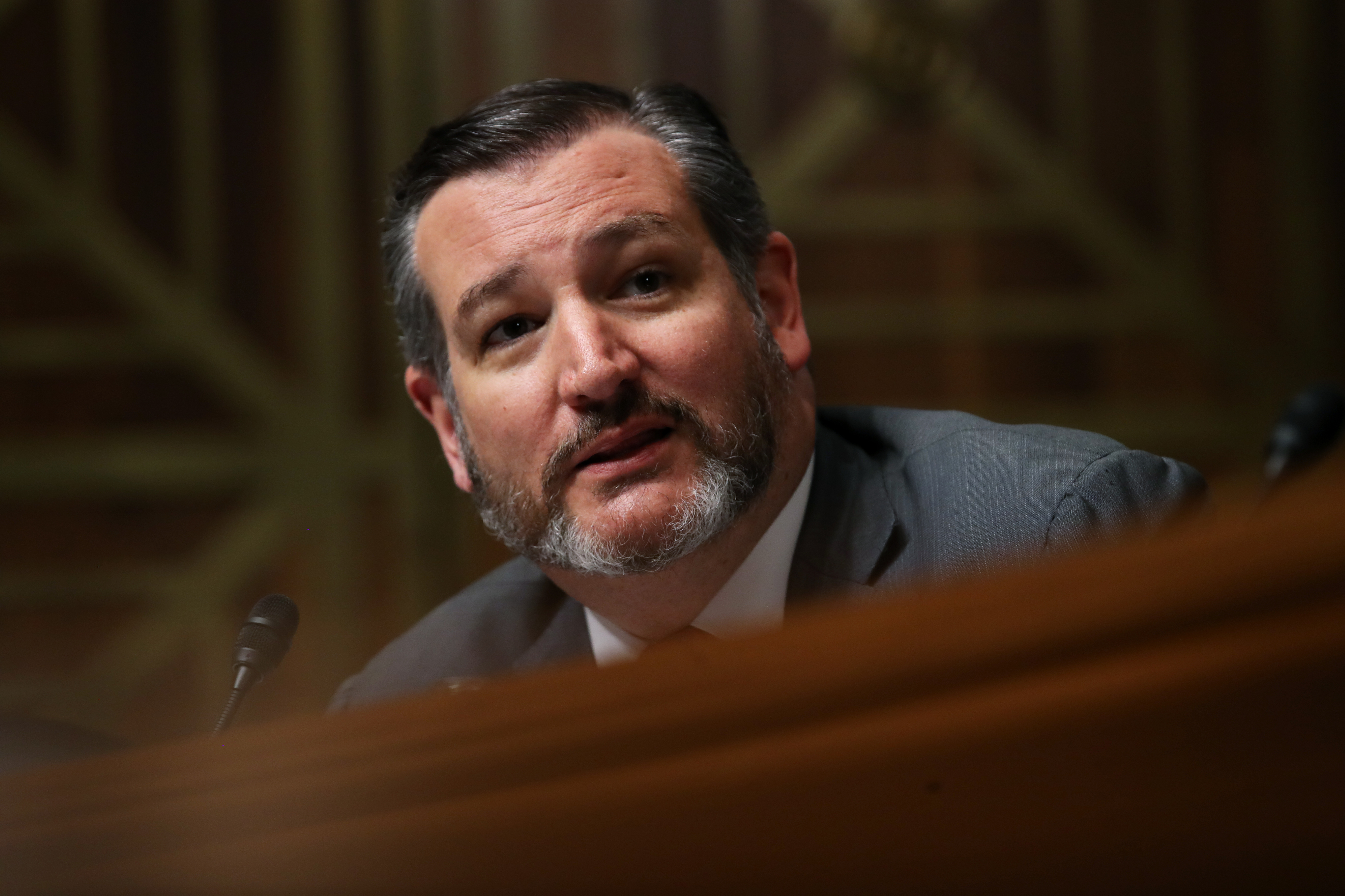 Sen. Ted Cruz (R-TX) at a Senate Judiciary Committee hearing on May 1, 2019. (Win McNamee/Getty Images)