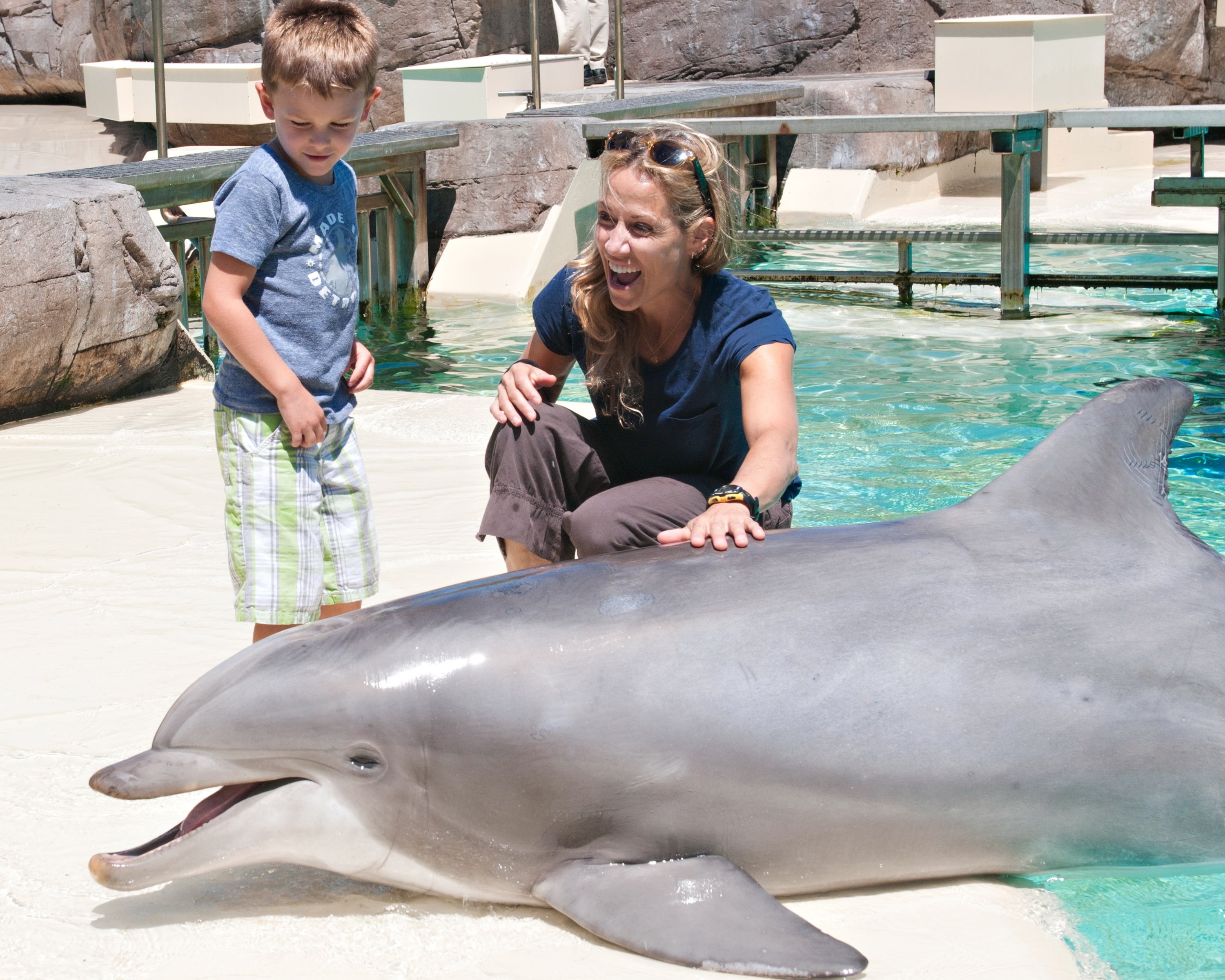 Singer/songwriter Sheryl Crow makes a new friend in Steime, a 22-year-old bottlenose dolphin, at SeaWorld San Diego on July 26, 2012 in San Diego, California. (Mike Aguilera/SeaWorld San Diego via Getty Images)