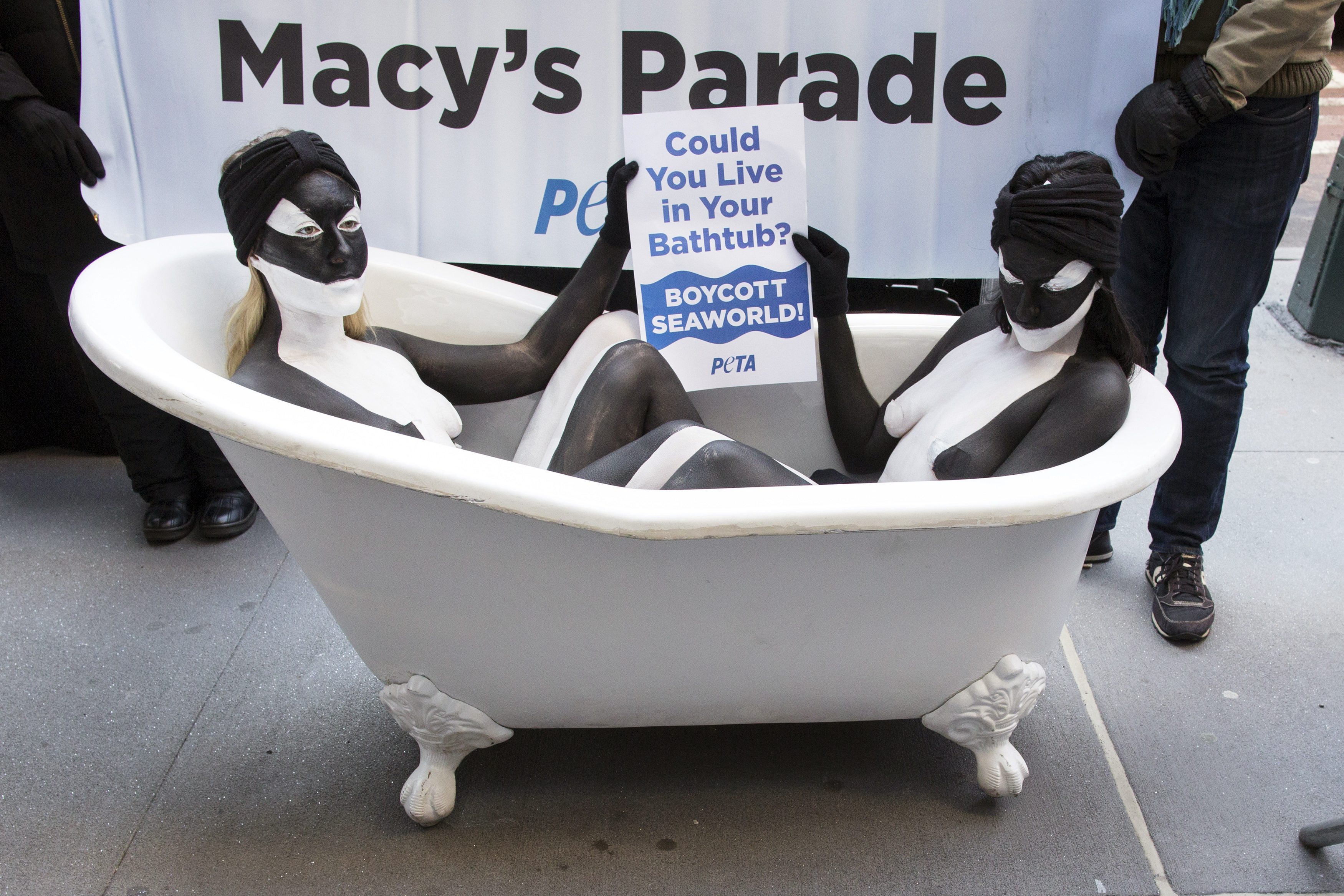 Naked protesters from the People for the Ethical Treatment of Animals (PETA) painted to resemble orca whales protest outside Macy's department store in New York, November 20, 2014. (REUTERS/Brendan McDermid)