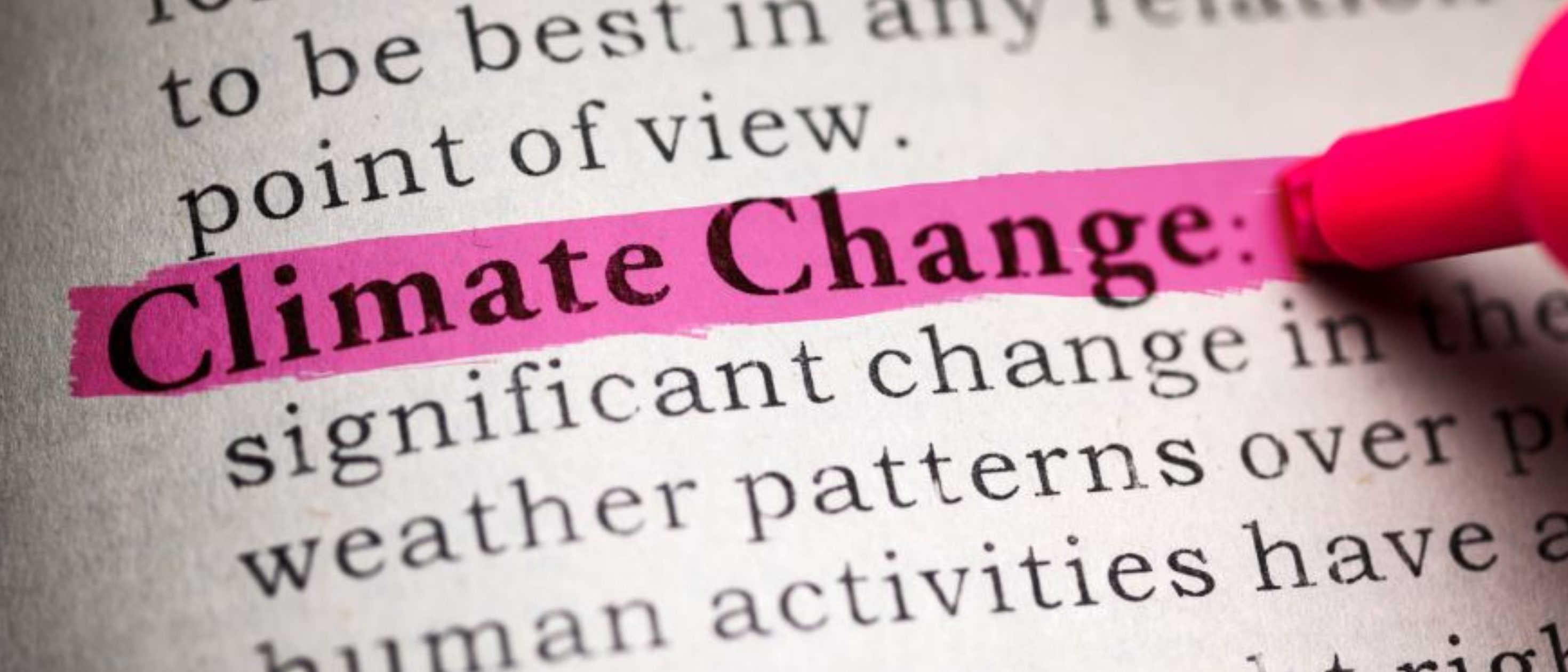 Fake Dictionary, definition of the word Climate Change (Feng Yu/Shutterstock)