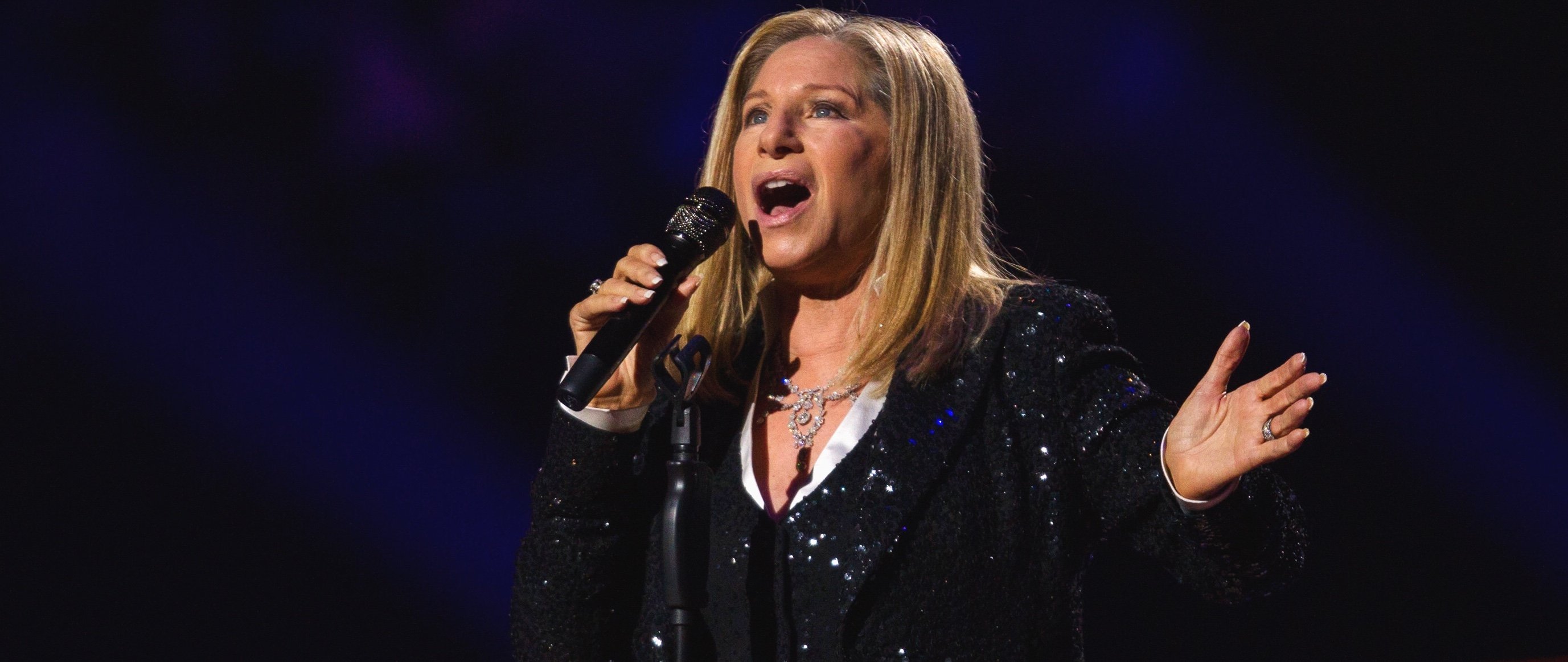 Барбра стрейзанд слушать. Barbra Streisand. Barbra Streisand Live in Concert 2006. Bárbara Singer.