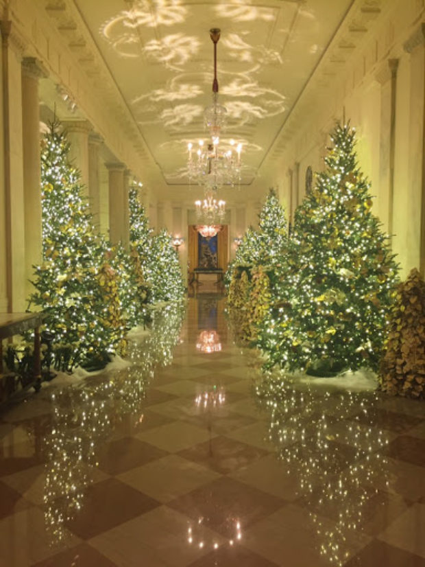 White House Christmas 2019 (Amber Athey/Daily Caller)