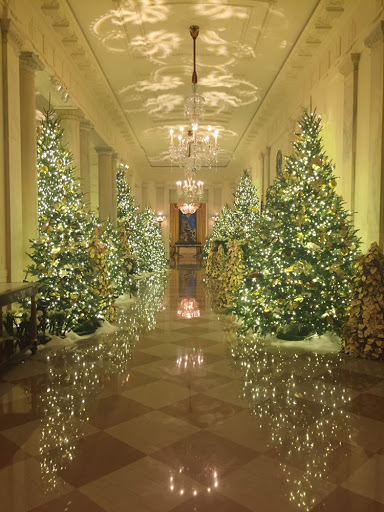 Exclusive Video: An Inside Look At Melania Trump’s 2019 White House ...