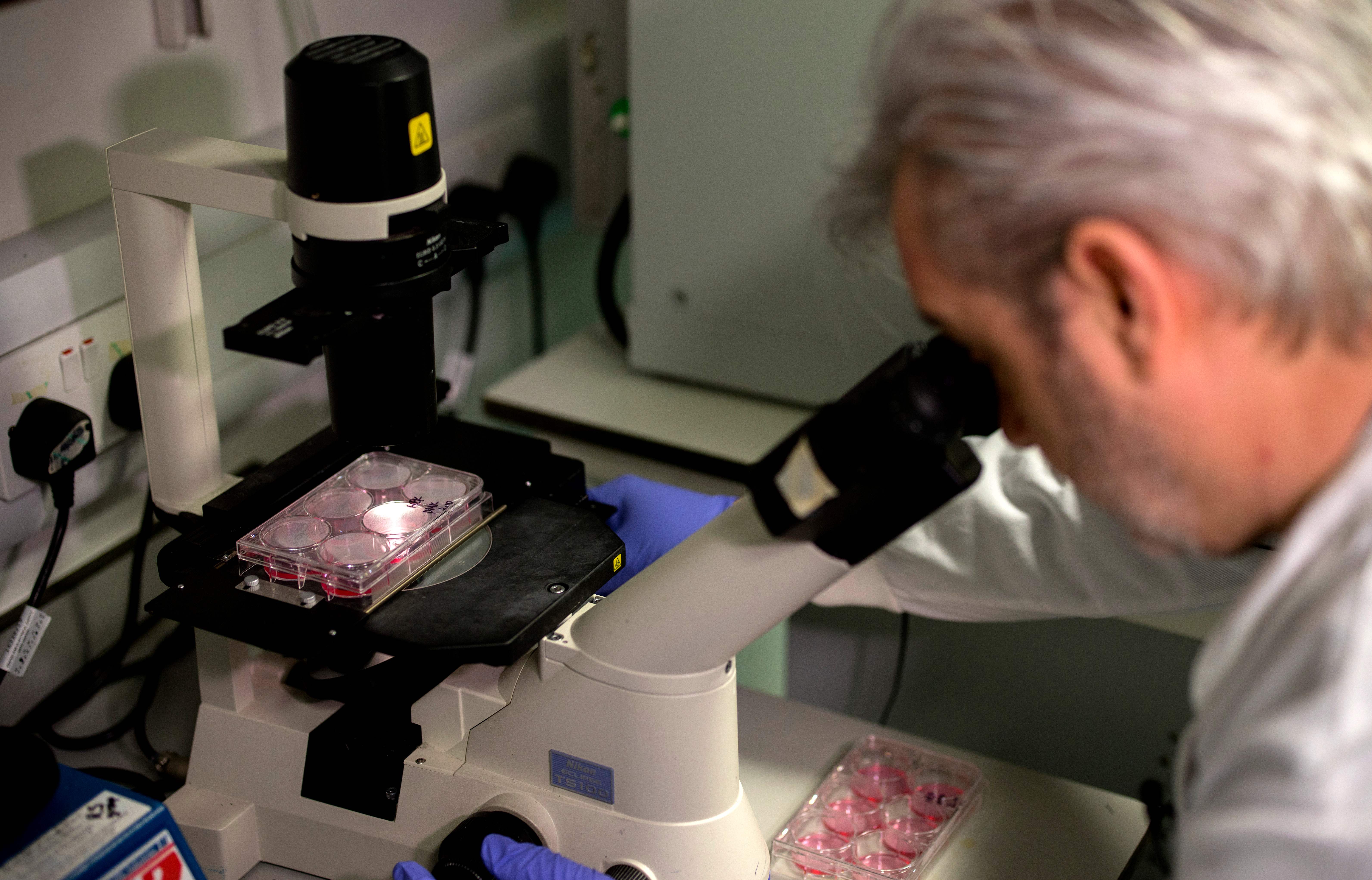 Doctor Paul McKay, who is working on an vaccine for the 2019-nCoV strain of the novel coronavirus, Covid-19,, poses for a photograph using a microscope to look at bacteria containing coronavirus, Covid-19, DNA fragments. (TOLGA AKMEN/AFP via Getty Images)
