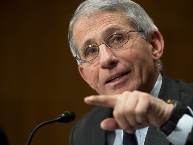 Dr. Anthony Fauci, director of the National Institute of Allergy and Infectious Diseases at the National Institutes of Health (NIH), testifies about the Zika virus during a Senate Health, Education, Labor and Pensions committee hearing on Capitol Hill in Washington, DC, February 24, 2016. / AFP / SAUL LOEB (Photo credit should read SAUL LOEB/AFP via Getty Images)