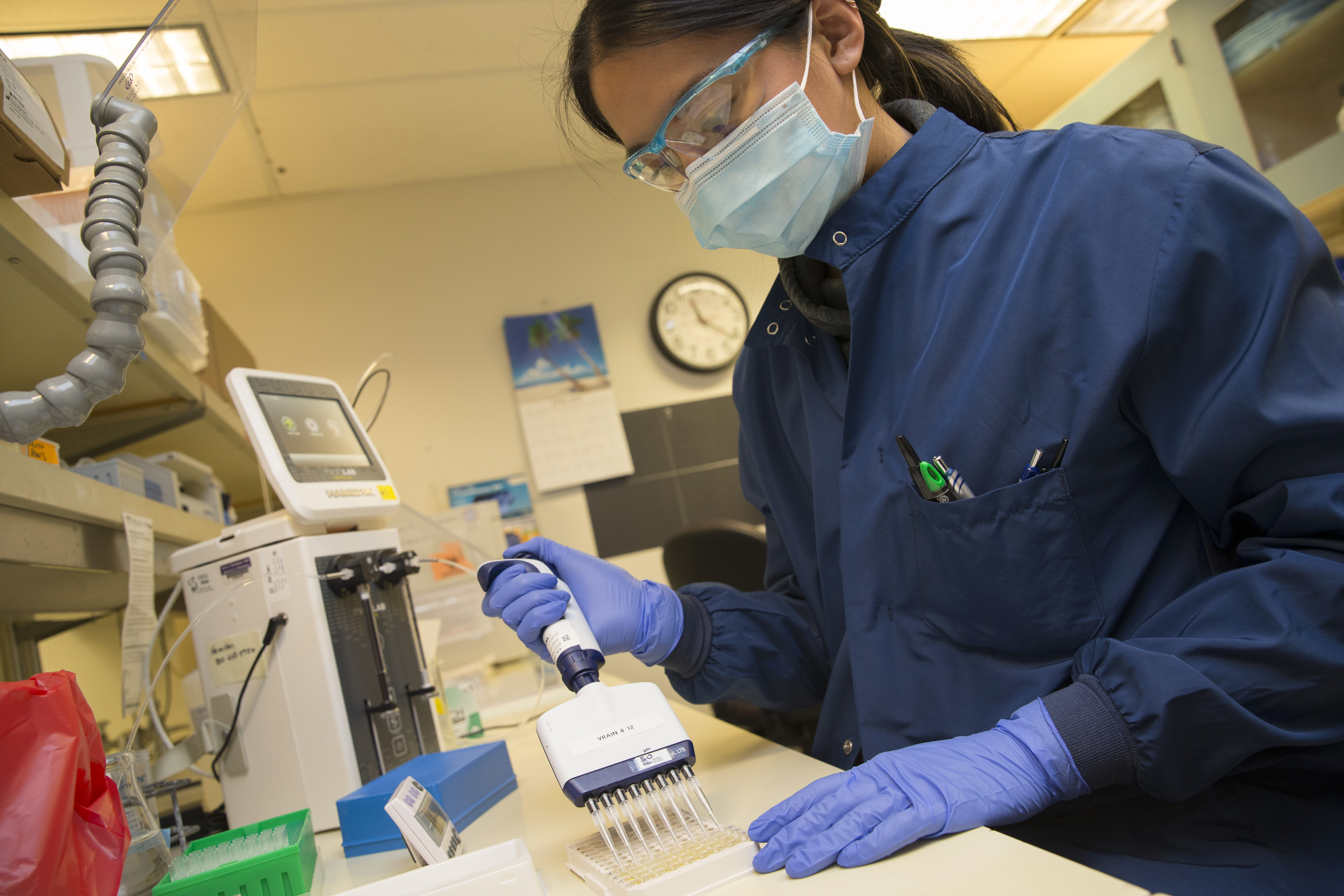 Medical laboratory scientist, Alicia Bui, runs a clinical test in the Immunology lab at UW Medicine looking for antibodies against SARS-CoV-2. (Photo by Karen Ducey/Getty Images)