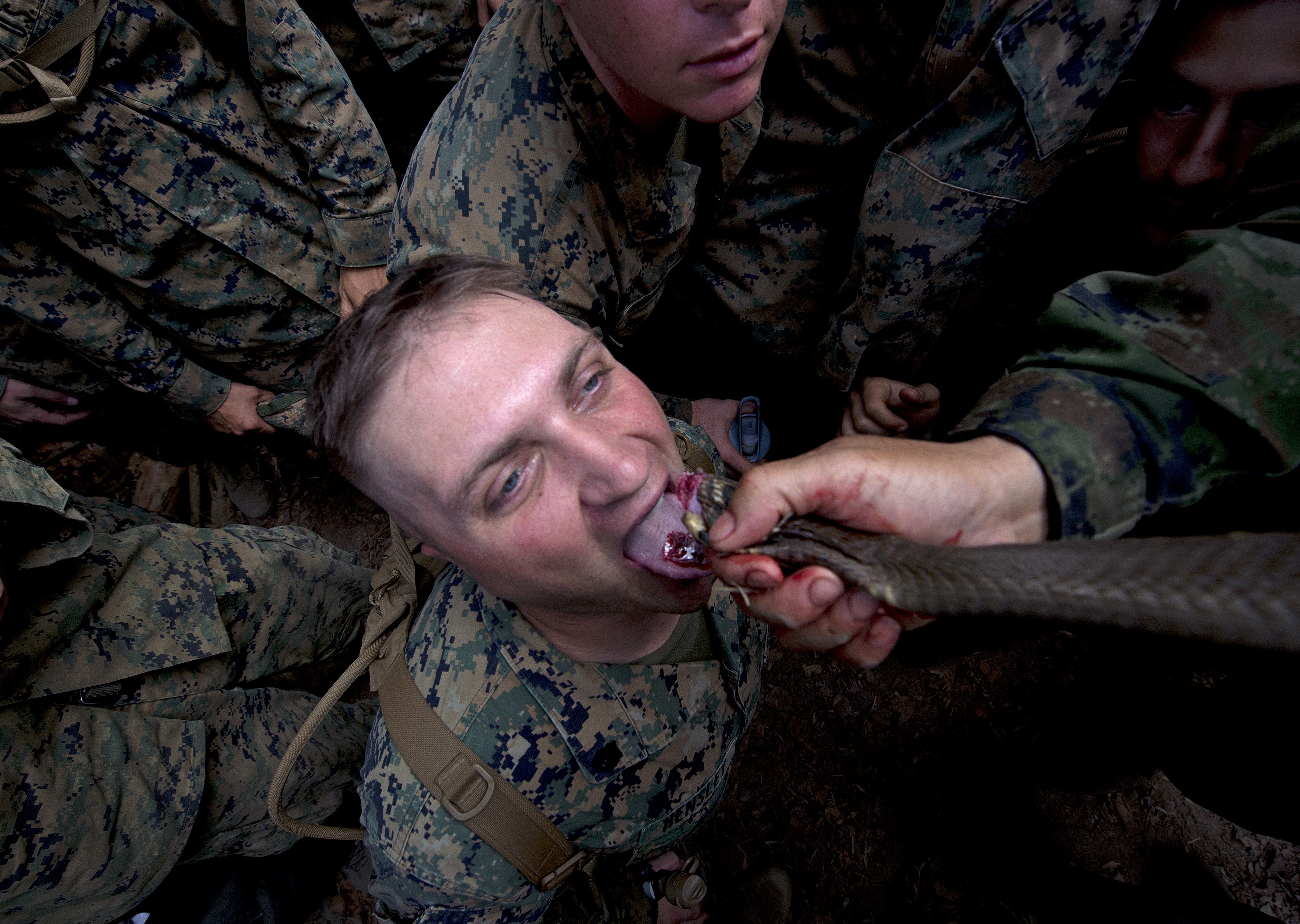 A US Marine drinks cobra blood during a jungle survival program as part of the annual Cobra Gold 2014 combined military exercise. (PORNCHAI KITTIWONGSAKUL/AFP via Getty Images)