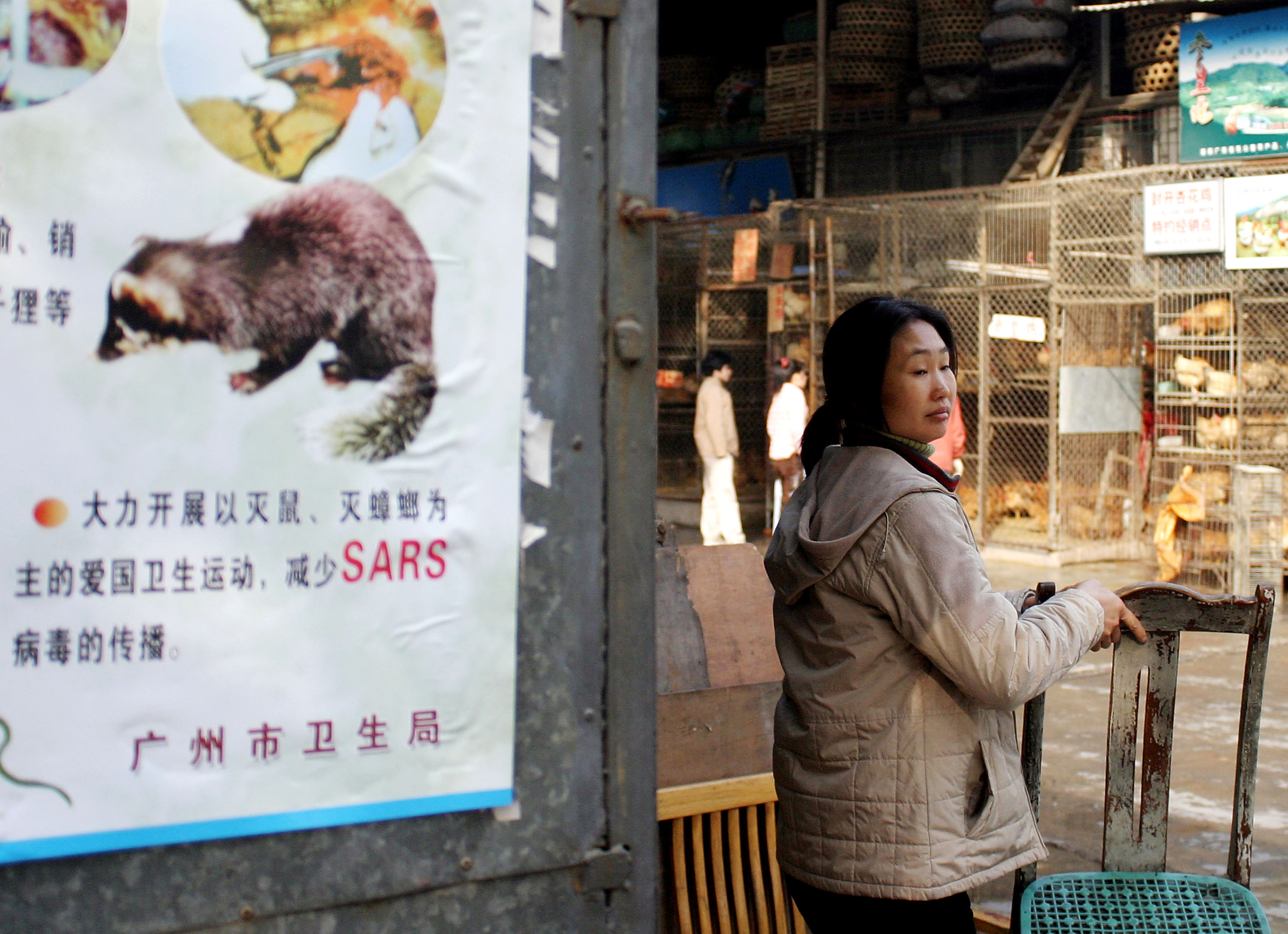 A woman moves a chair next to a propaganda poster that promotes the killing of civet cats, cockroaches and rats at the Xinyuan wild animal market January 14, 2004 in Guangzhou, China. (Photo by Getty Images)