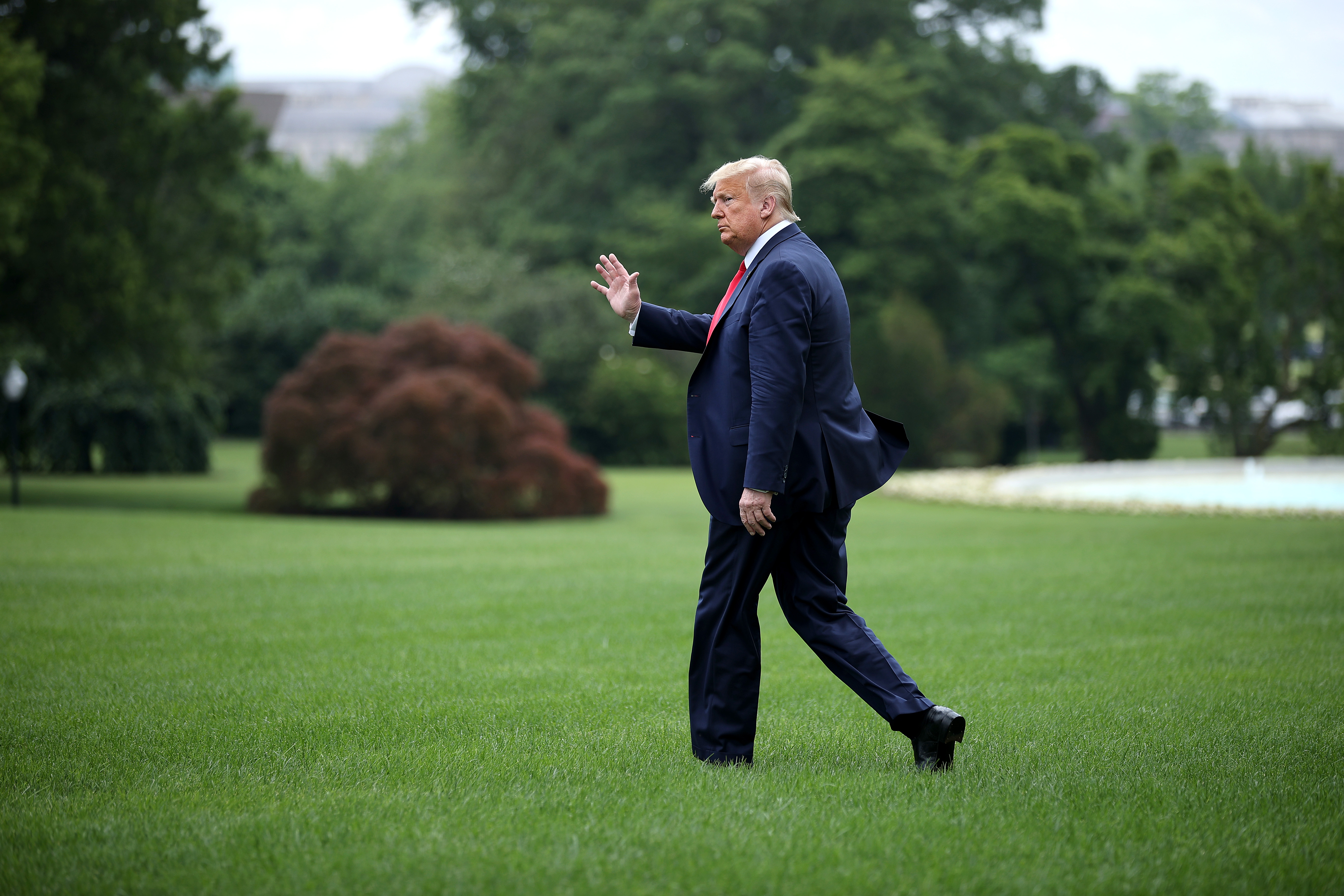 WASHINGTON, DC - JUNE 05: U.S. President Donald Trump walks across the South Lawn before boarding Marine One and departing the White House June 05, 2020 in Washington, DC. Trump is traveling to Maine to hold business round table and visit Puritan Medical Products in Guilford. (Photo by Chip Somodevilla/Getty Images)