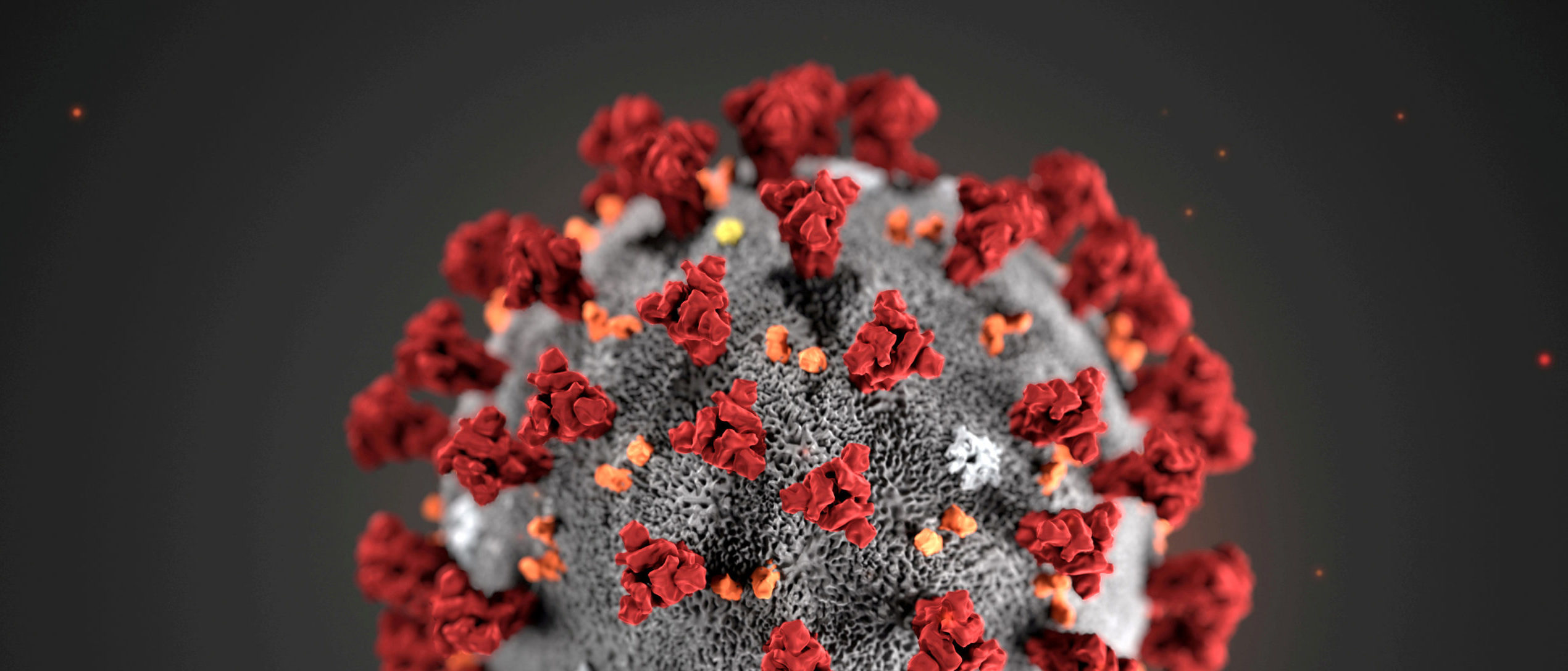 The ultrastructural morphology exhibited by the 2019 Novel Coronavirus (2019-nCoV), which was identified as the cause of an outbreak of respiratory illness first detected in Wuhan, China, is seen in an illustration released by the Centers for Disease Control and Prevention (CDC) in Atlanta, Georgia, U.S. January 29, 2020. Alissa Eckert, MS; Dan Higgins, MAM/CDC/Handout via REUTERS.