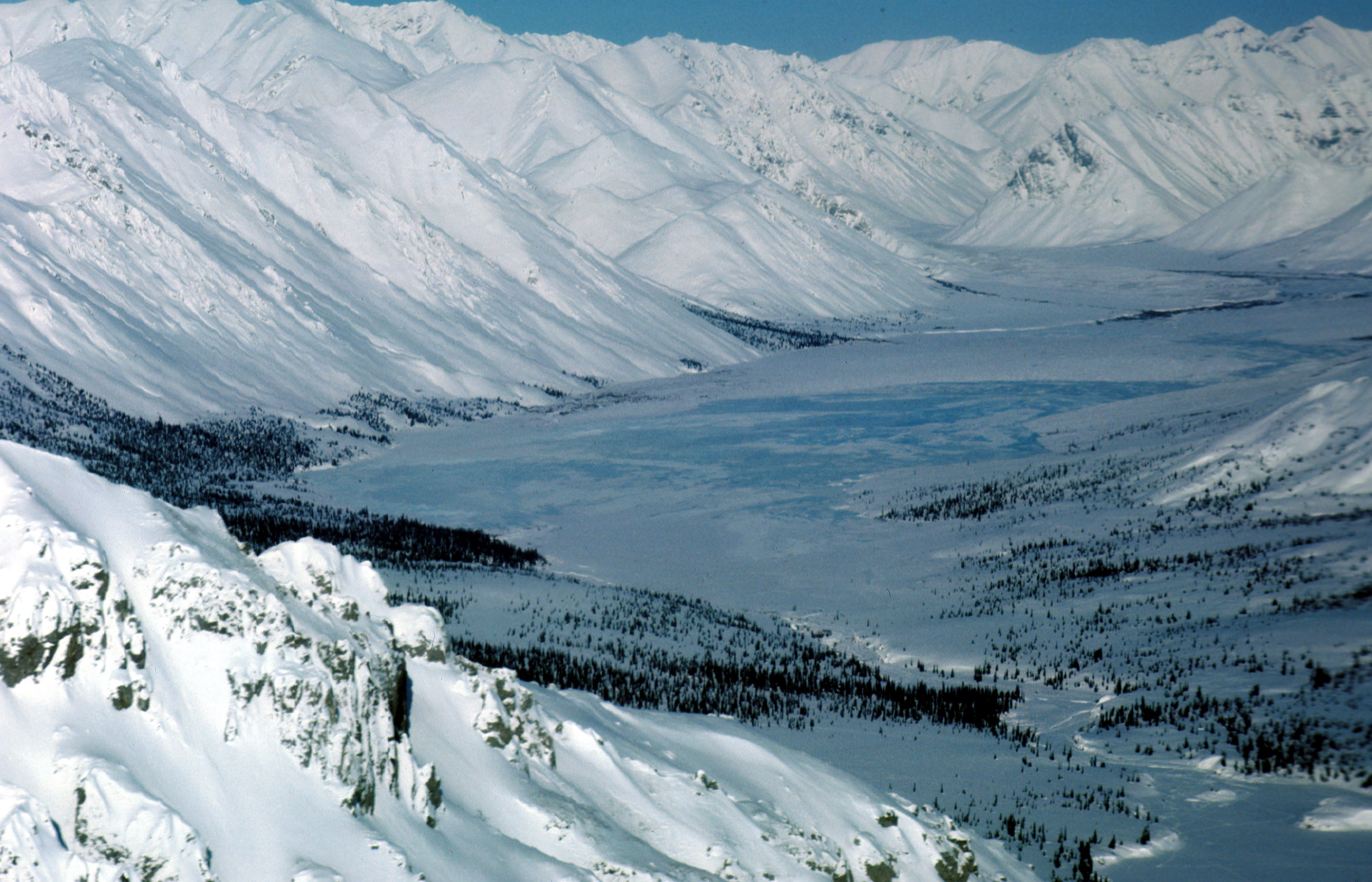 392886 13: (FILE PHOTO) This undated photo shows the Arctic National Wildlife Refuge in Alaska. The Bush administration''s controversial plan to open the refuge to oil drilling was approved by the House of Representatives on August 2, 2001, but it faces a tough battle in the Senate. (Photo by U.S. Fish and Wildlife Service/Getty Images)