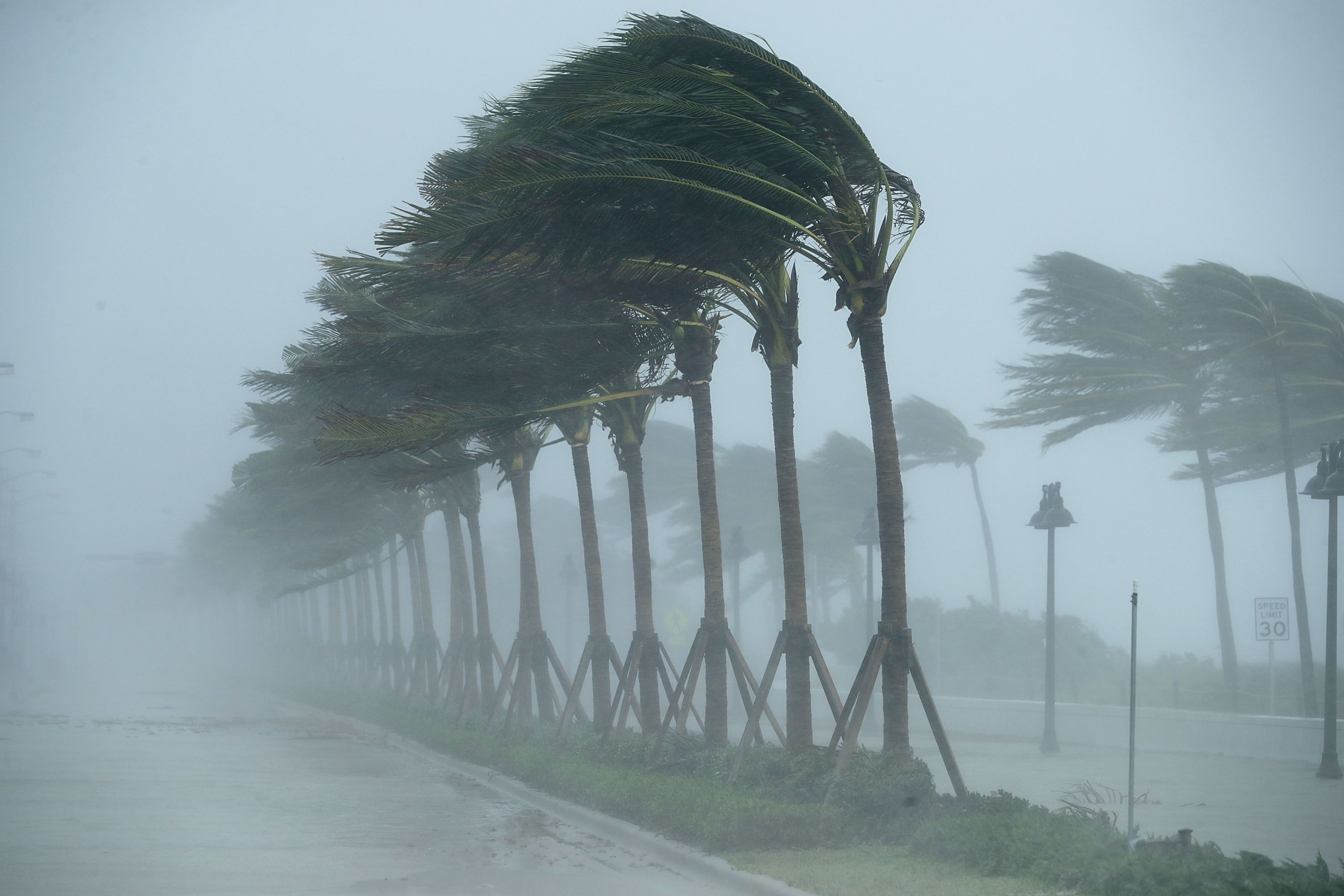 Trees bend in the tropical storm wind along North Fort Lauderdale Beach Boulevard as Hurricane Irma hits the southern part of the state September 10, 2017 in Fort Lauderdale, Florida. The powerful hurricane made landfall in the United States in the Florida Keys at 9:10 a.m. after raking across the north coast of Cuba. (Photo by Chip Somodevilla/Getty Images)