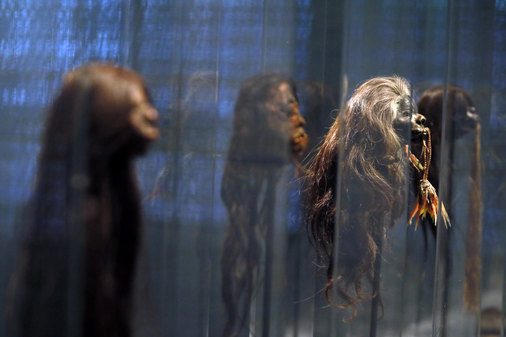 Museum Removes Famous Shrunken Heads Human Remains To ‘decolonize Its Collections The Daily 8311