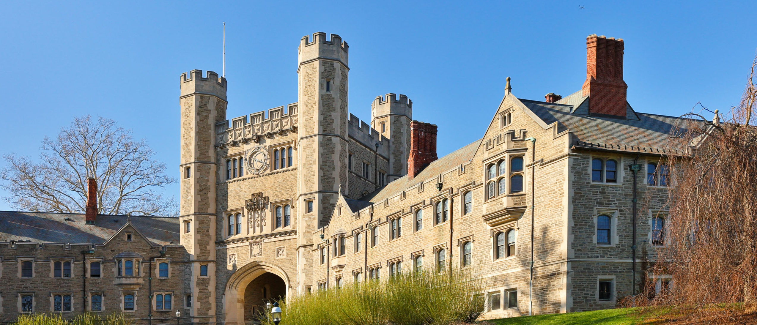 Princeton University Created Racial, Sexual Orientation Search Tool For Vendors