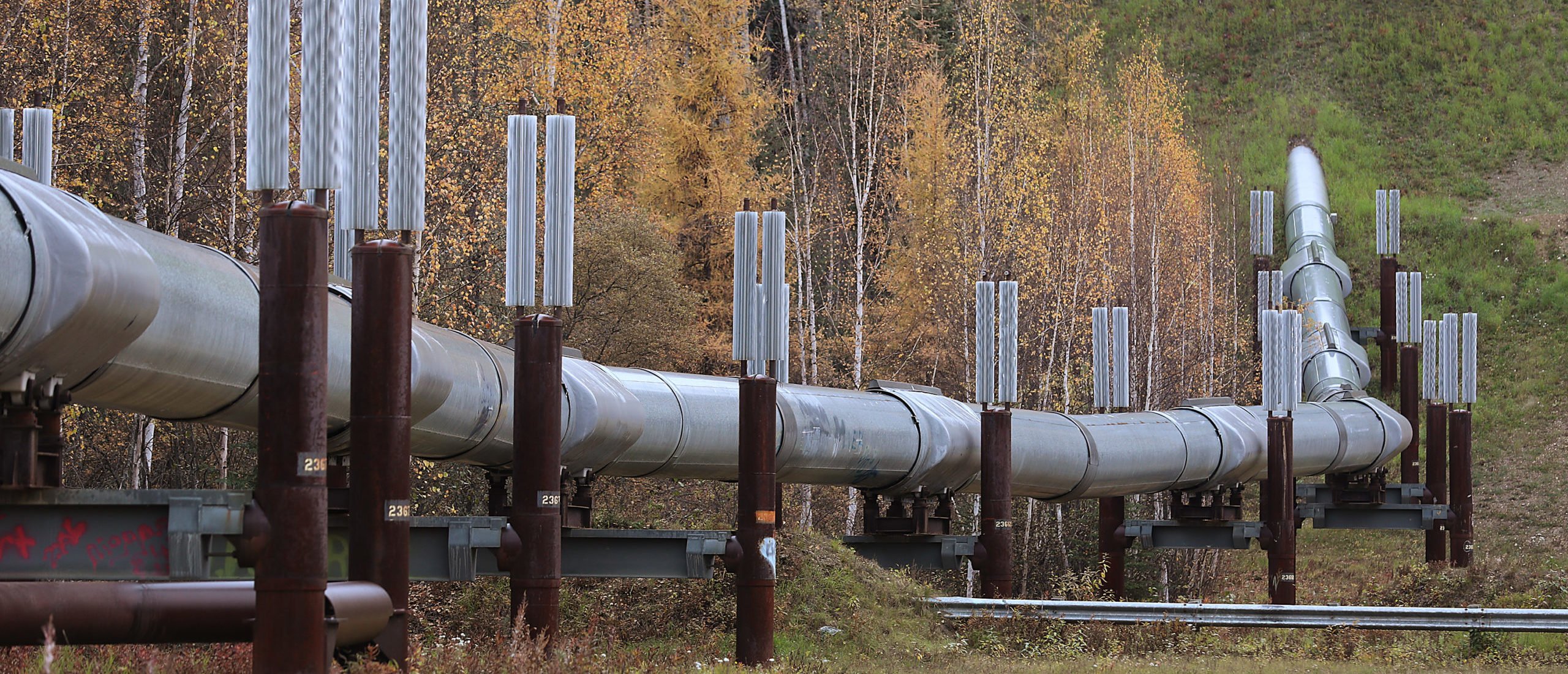 FAIRBANKS, ALASKA - SEPTEMBER 17: A part of the Trans Alaska Pipeline System is seen on September 17, 2019 in Fairbanks, Alaska. The 800-mile-long pipeline carries oil from Prudhoe Bay to Valdez. After an attack on a petroleum processing facility in Saudi Arabia, U.S. President Donald Trump said that the United States is well positioned to handle the loss of that oil output because of both the U.S. strategic petroleum reserve and the amount of energy output by the U.S. (Photo by Joe Raedle/Getty Images)