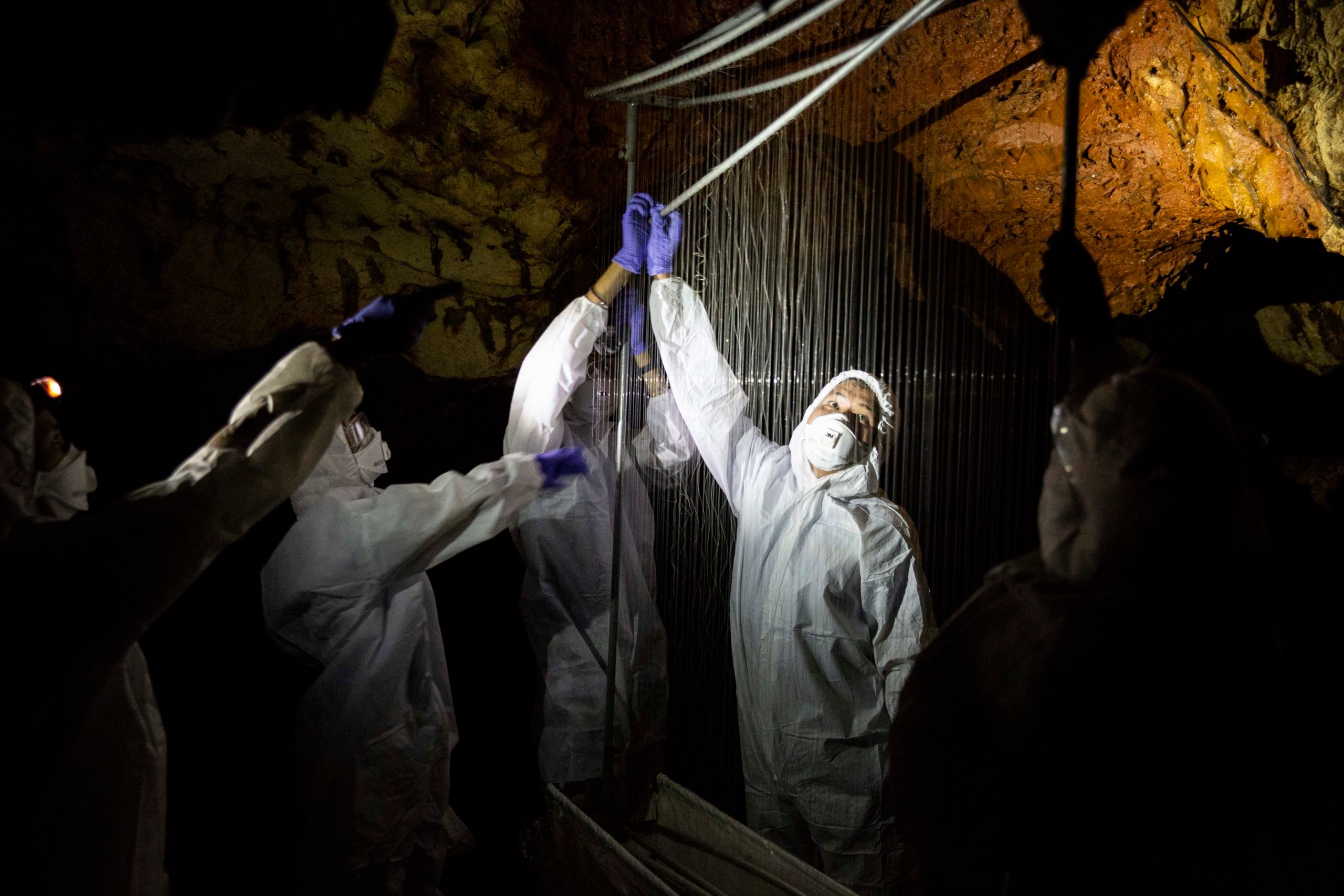 A team of researchers set up a net to catch bats at the Khao Chong Pran Cave on September 12, 2020 in Ratchaburi, Thailand. (Photo by Lauren DeCicca/Getty Images)