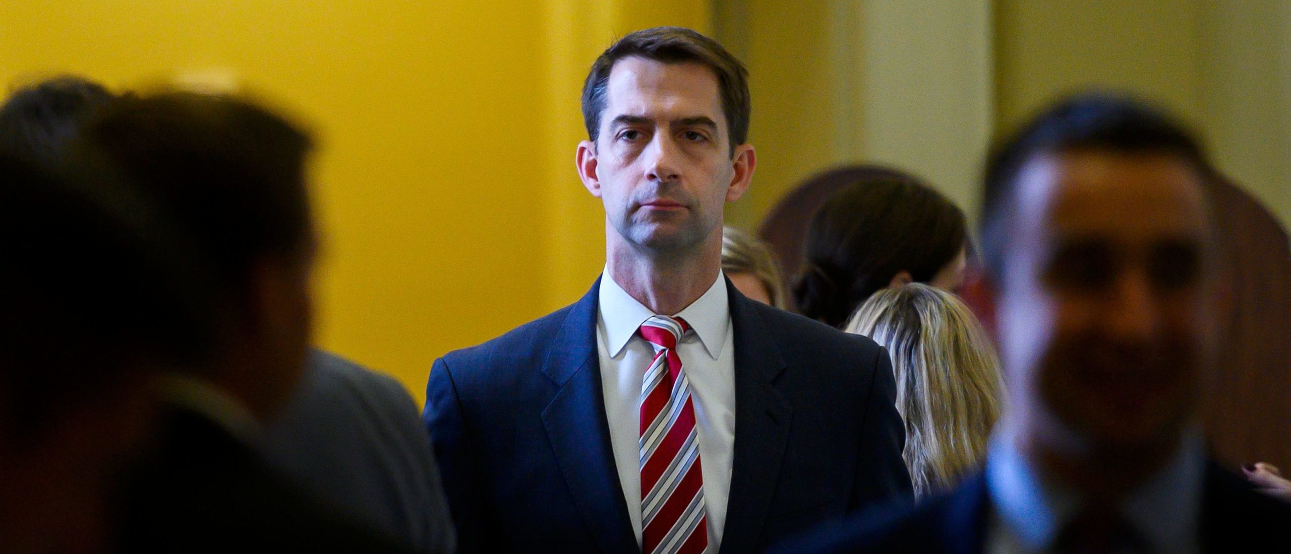 report-sen-tom-cotton-to-introduce-bill-that-would-ban-critical-race