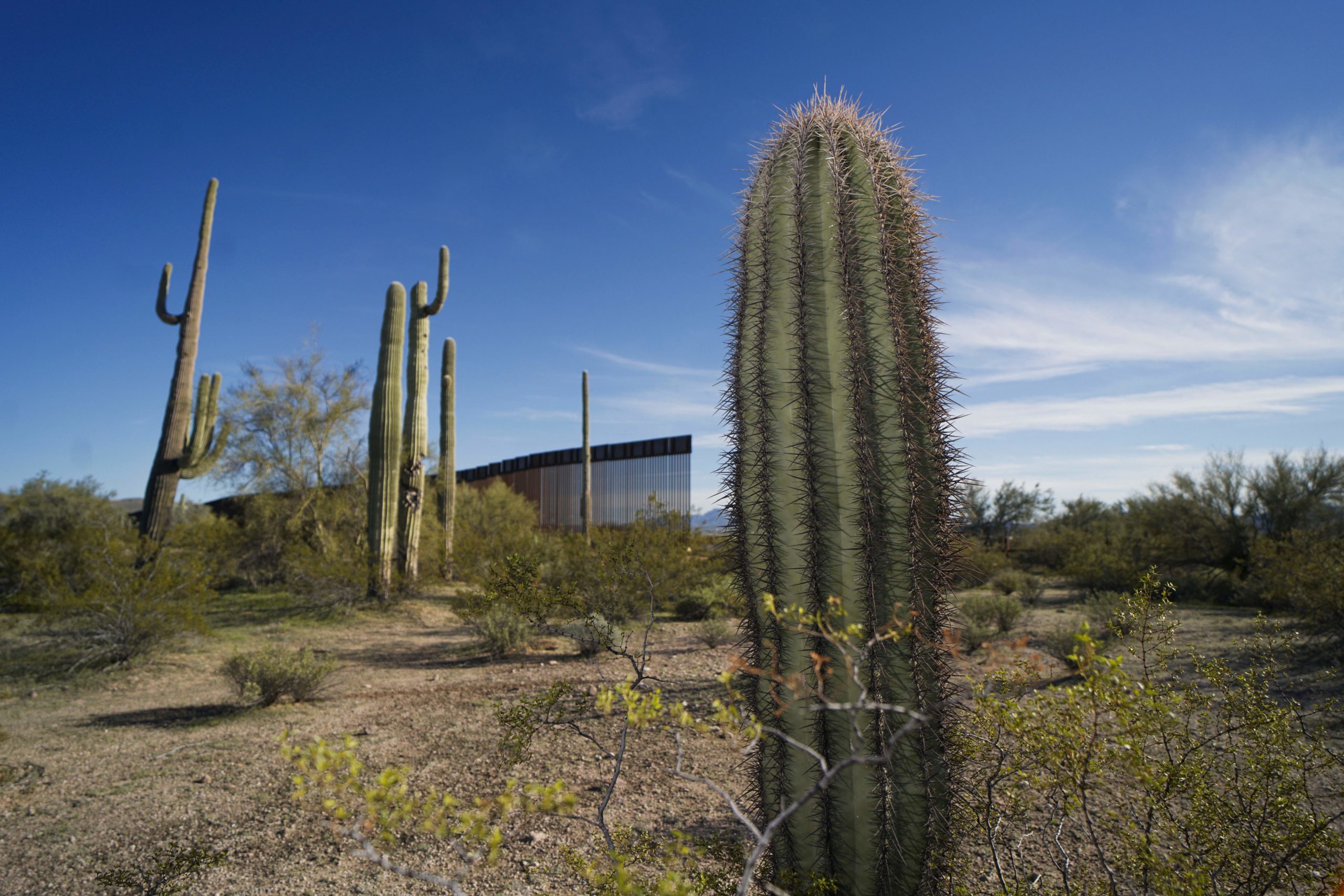 The United States-Mexico border wall is seen past cactuses in Organ Pipe National Park south of Ajo, Arizona, on February 13, 2020. - Construction of US President Donald Trump's border wall in the area has destroyed many species including the Organ Pipe Cactus. (Photo by SANDY HUFFAKER / AFP) (Photo by SANDY HUFFAKER/AFP via Getty Images)